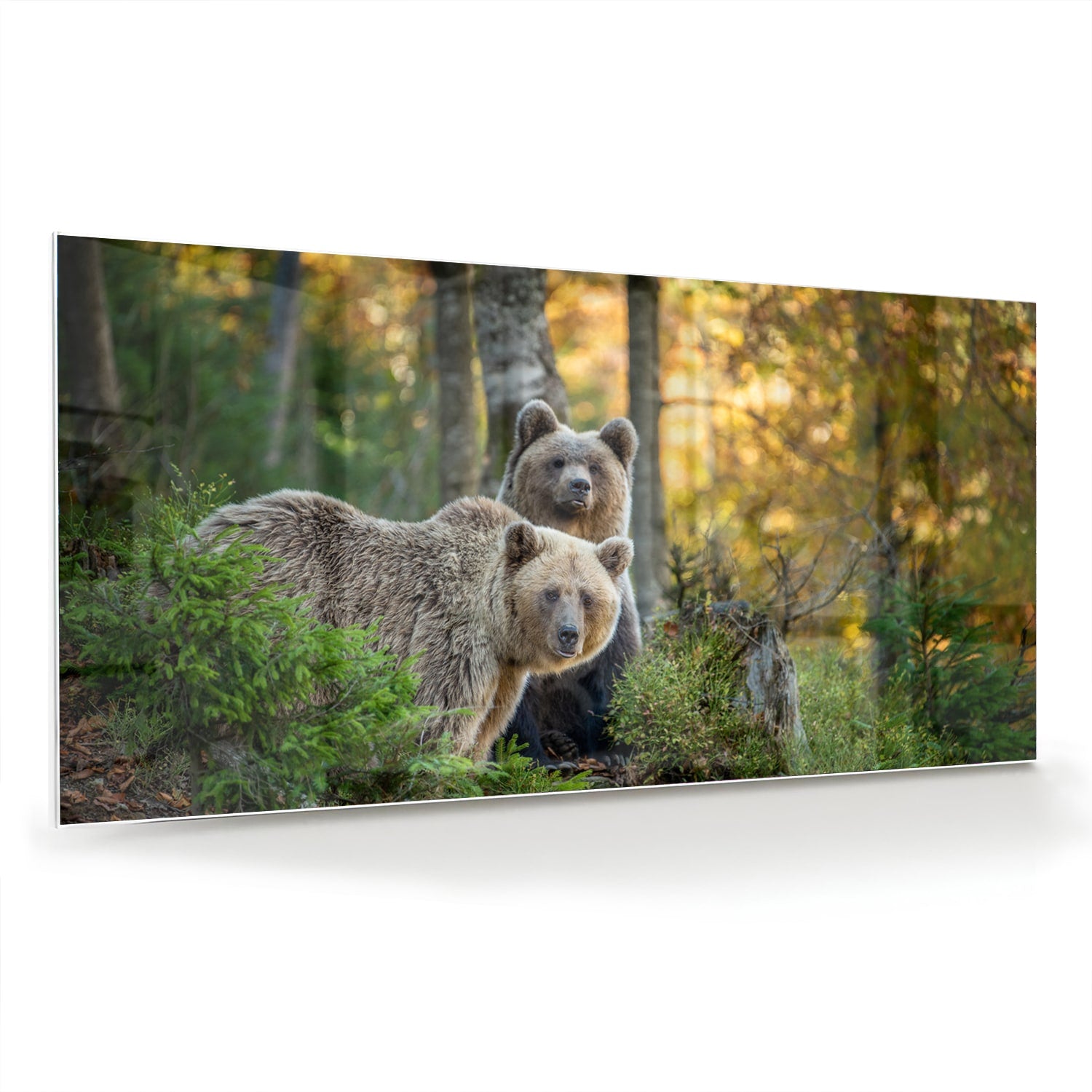 Glazen schilderij met twee schattige beren in een bosrijke omgeving