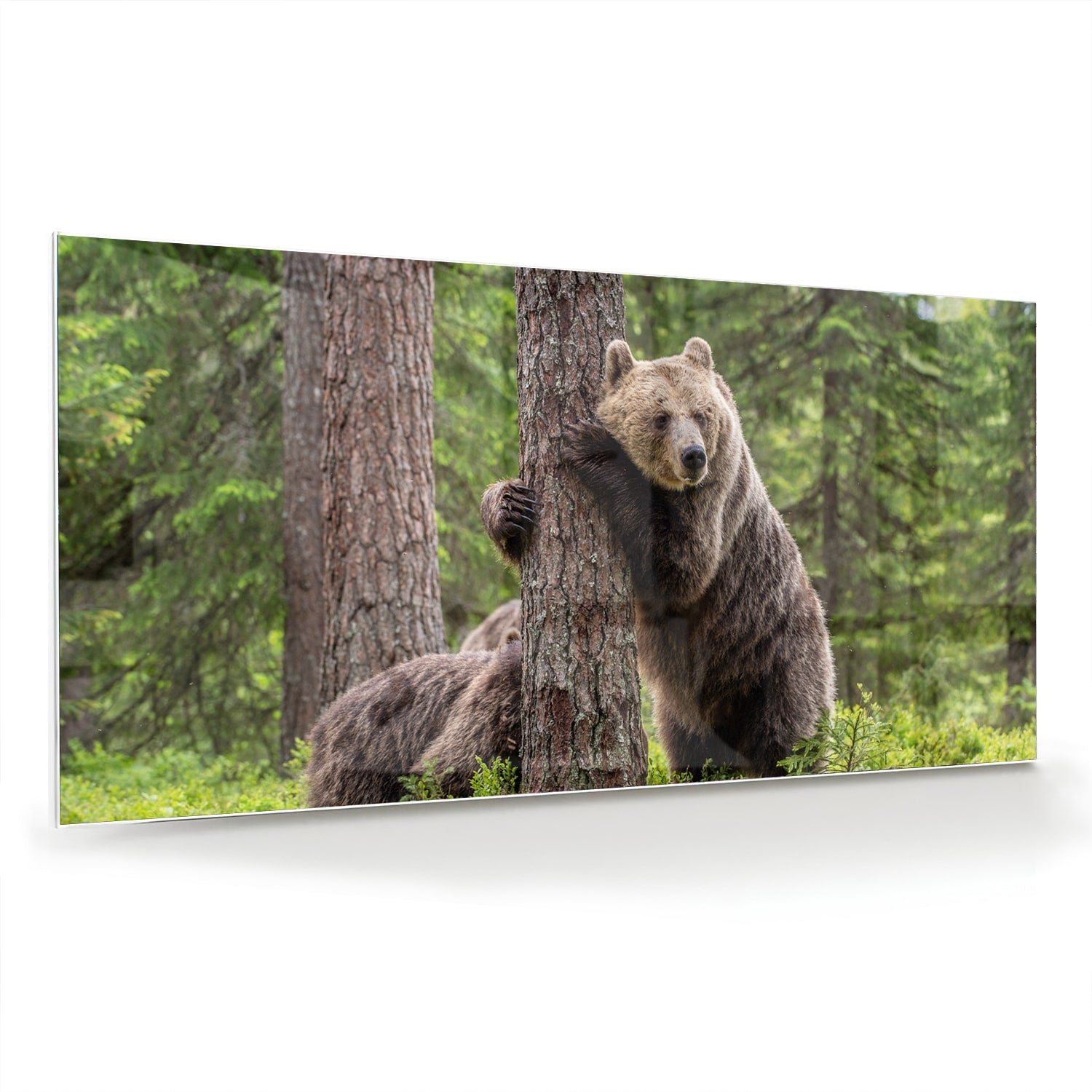 Glazen schilderij van een grizzly beer leunend tegen een boom in de natuur.