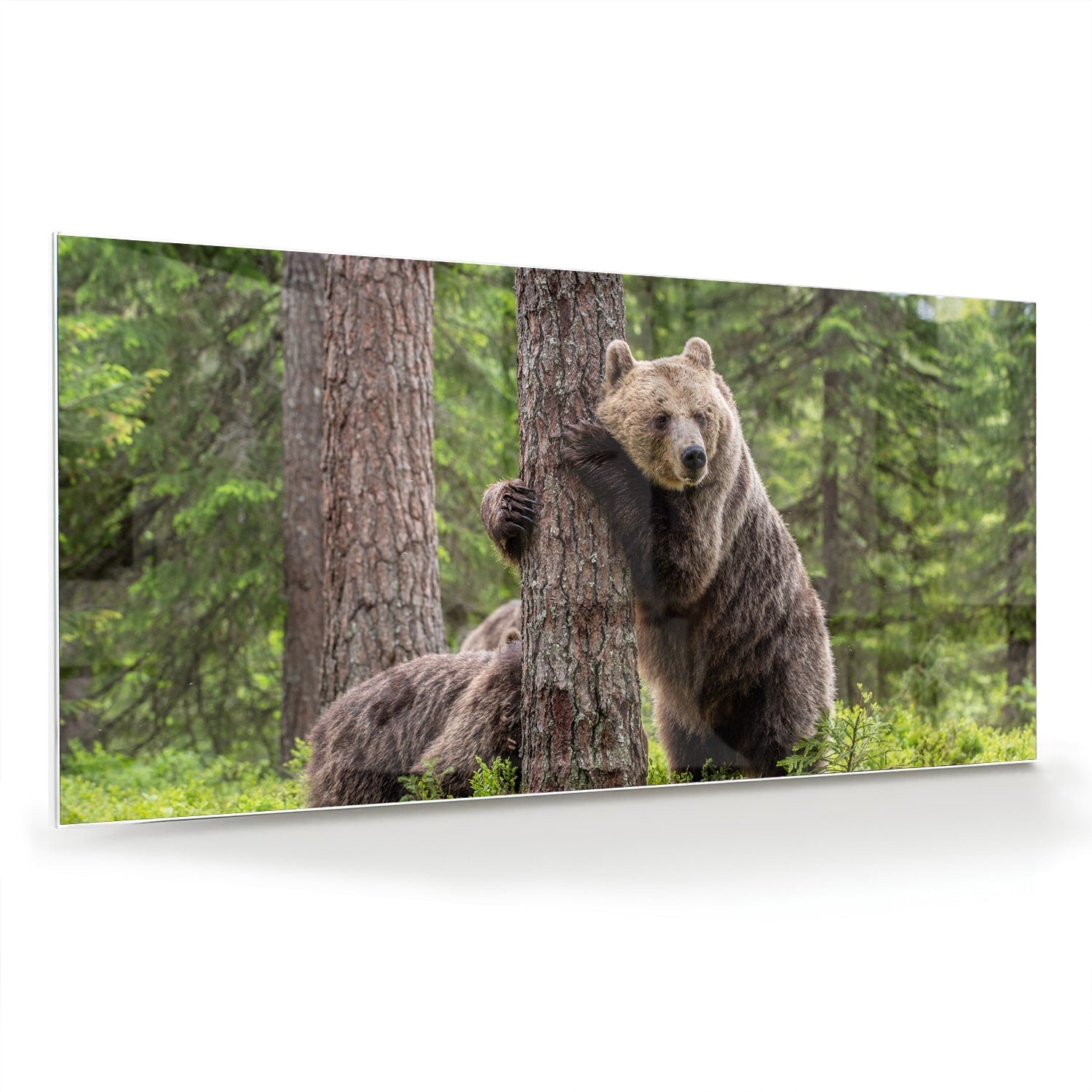 Glazen schilderij van een grizzly beer leunend tegen een boom in de natuur.