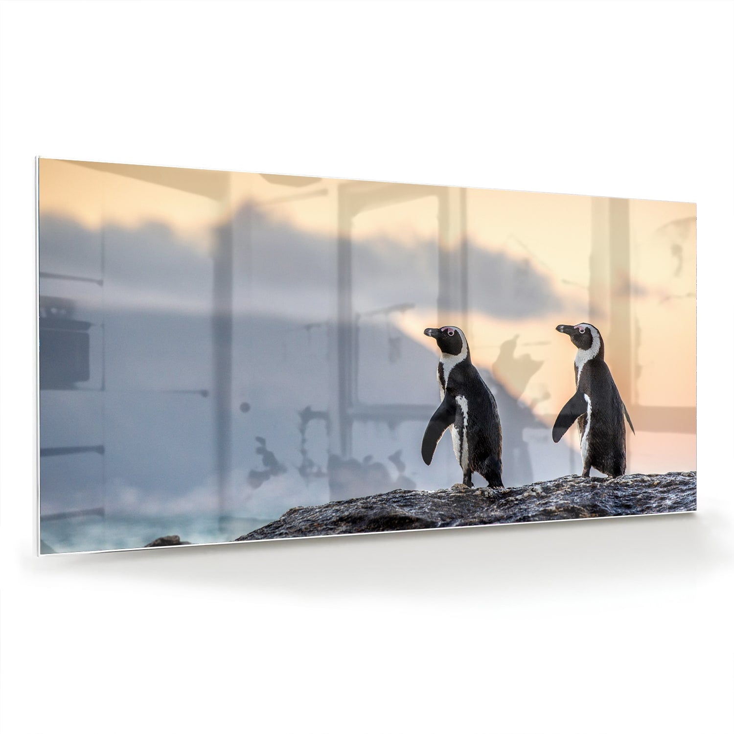Glazen schilderij van pinguns aan zee met een zonsondergang op de achtergrond