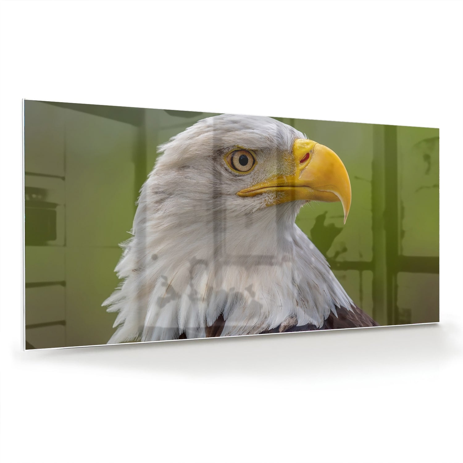 Een prachtig glazen schilderij van een Amerikaanse zeearend met een groene achtergrond.