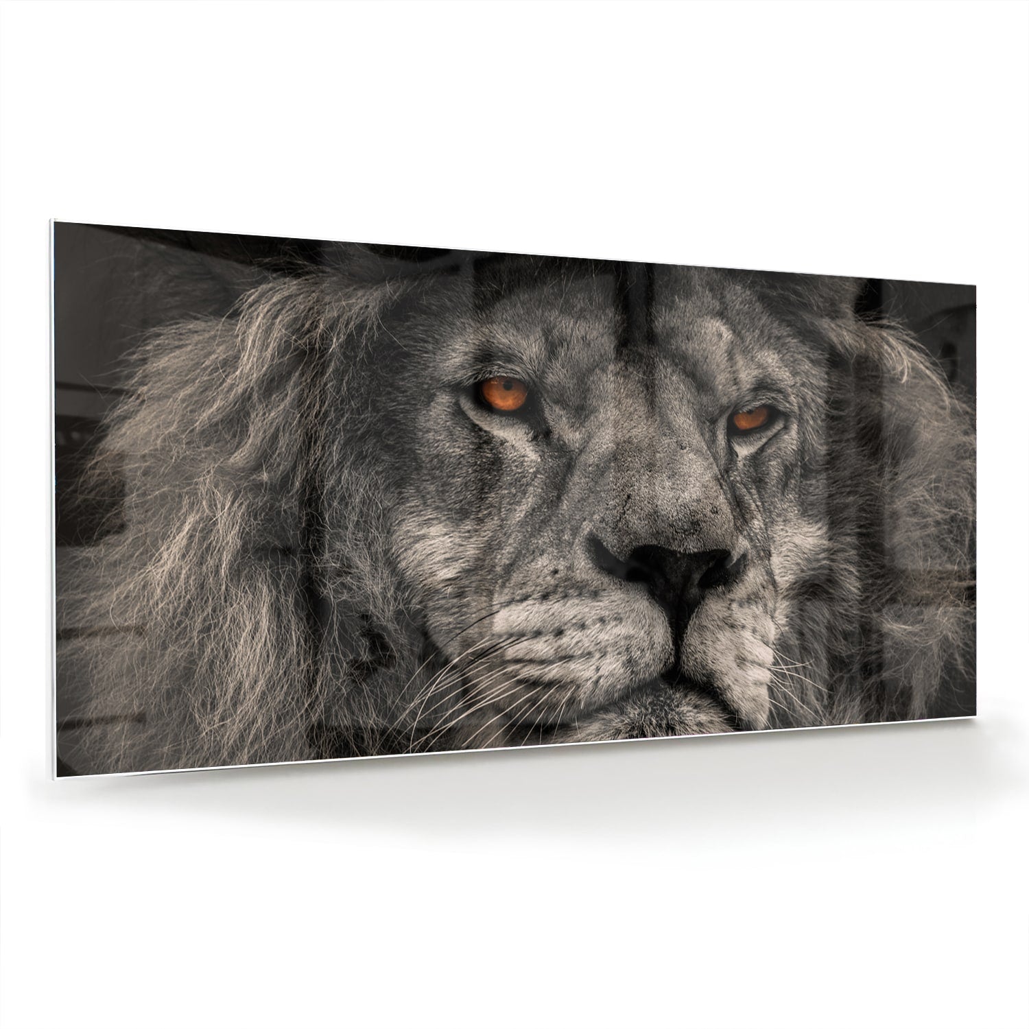 Glazen schilderij van een majestueuze leeuw in zwart-wit, perfect als wanddecoratie.