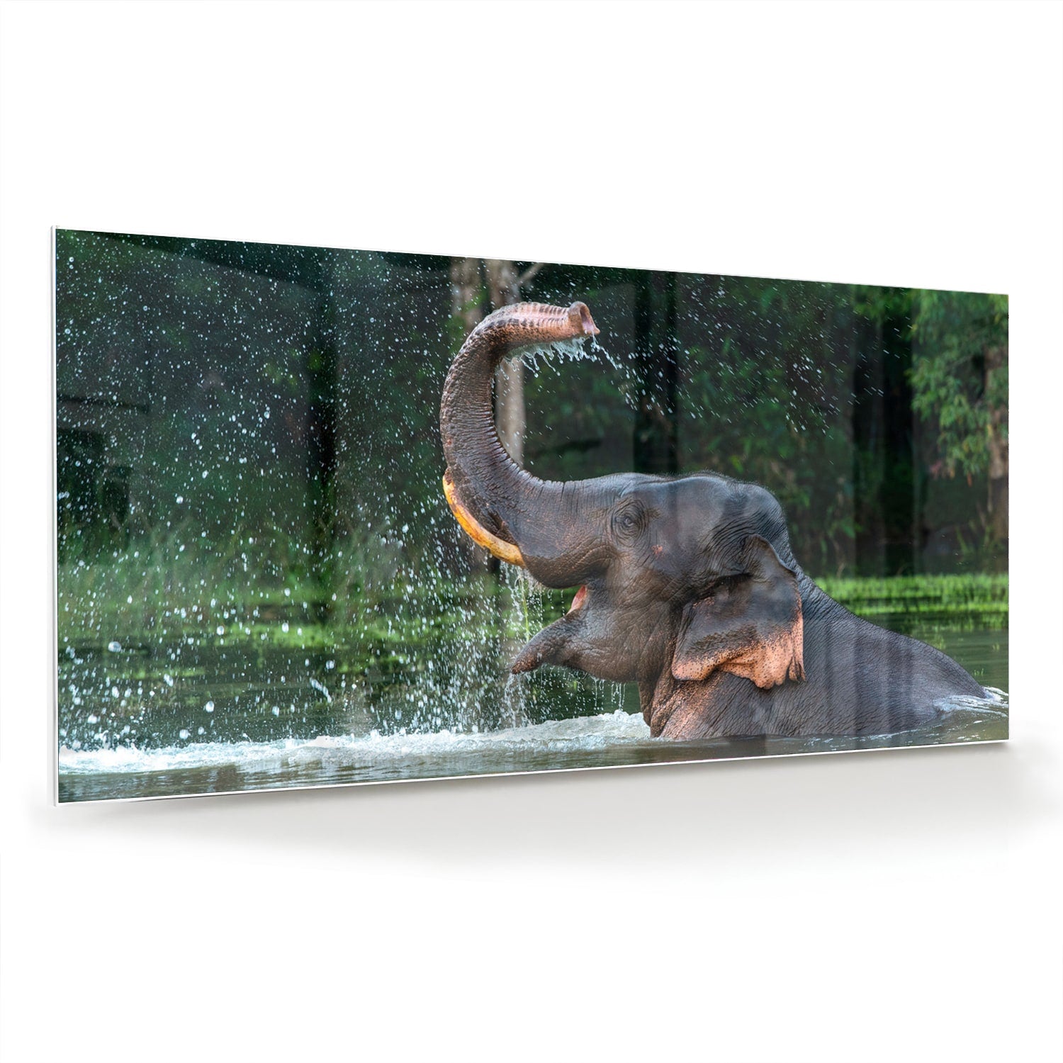 Glazen schilderij van een olifant die speelt in het water