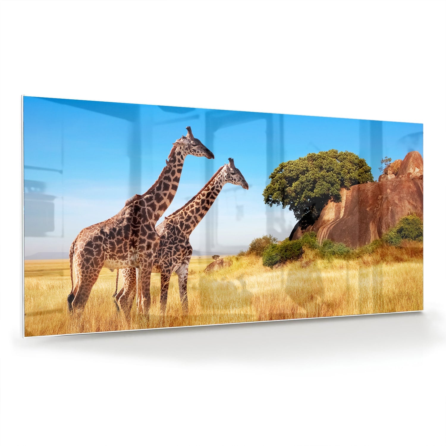 Glazen schilderij van twee giraffen in een Afrikaans landschap