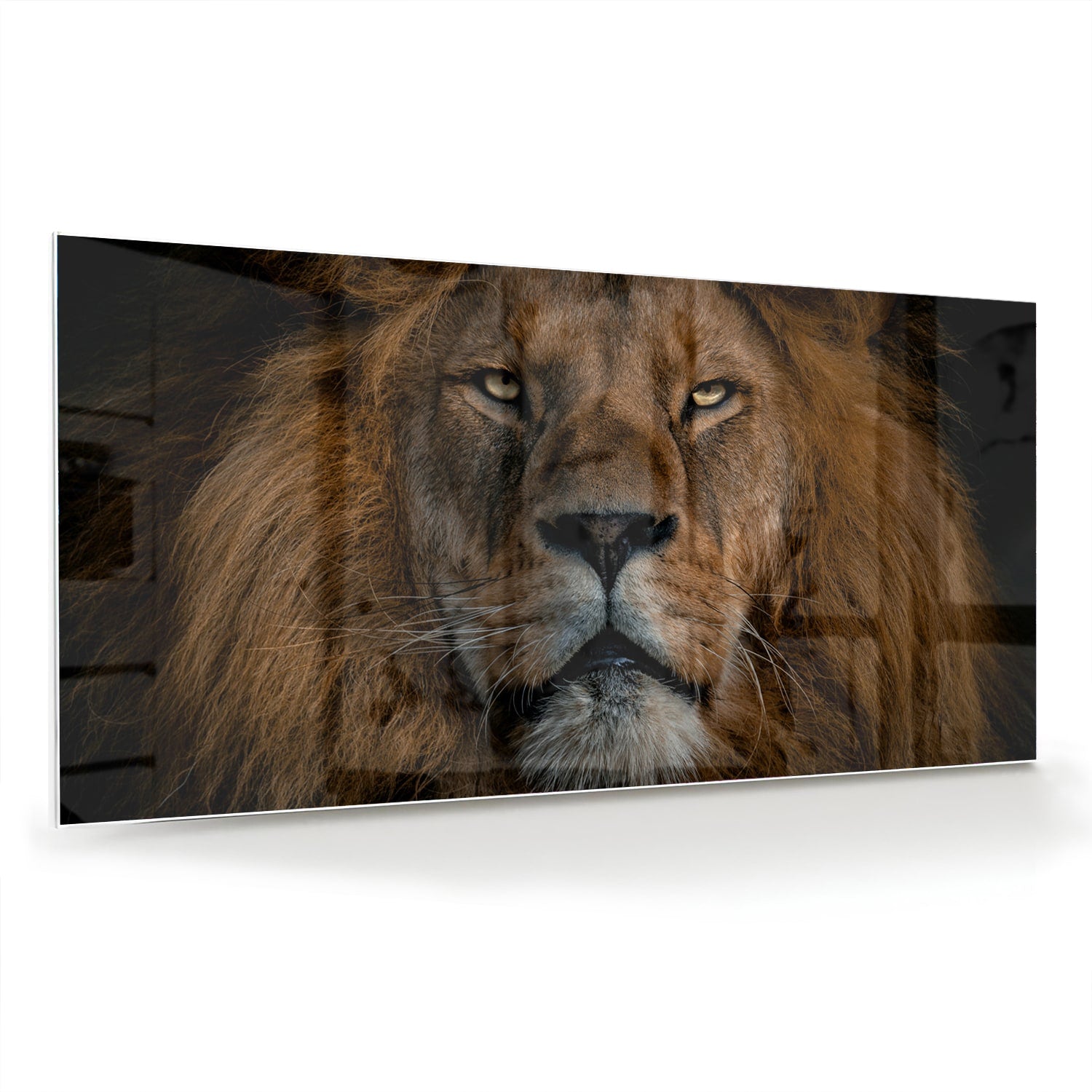 Glazen schilderij van een leeuw, een krachtige uitstraling voor de wand.