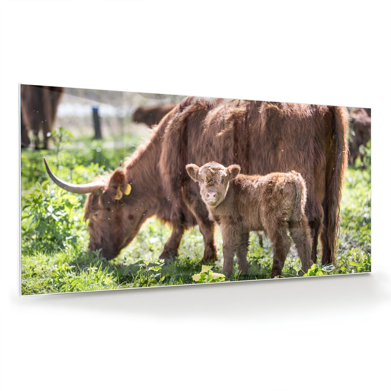 Glazen schilderij van een moederkoe met haar kalf in een groene weide.
