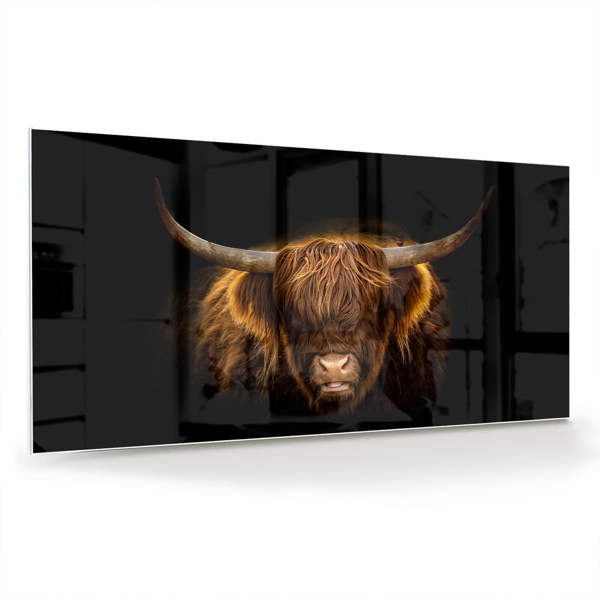 Glazen schilderij van een Highlander rund met lange hoorns en vacht op een zwarte achtergrond.