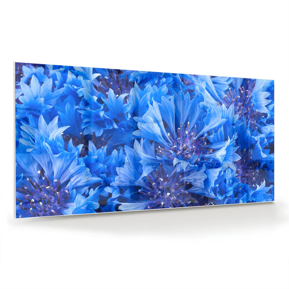 Glazen schilderij met een prachtig blauw bloemenmotief aan de muur