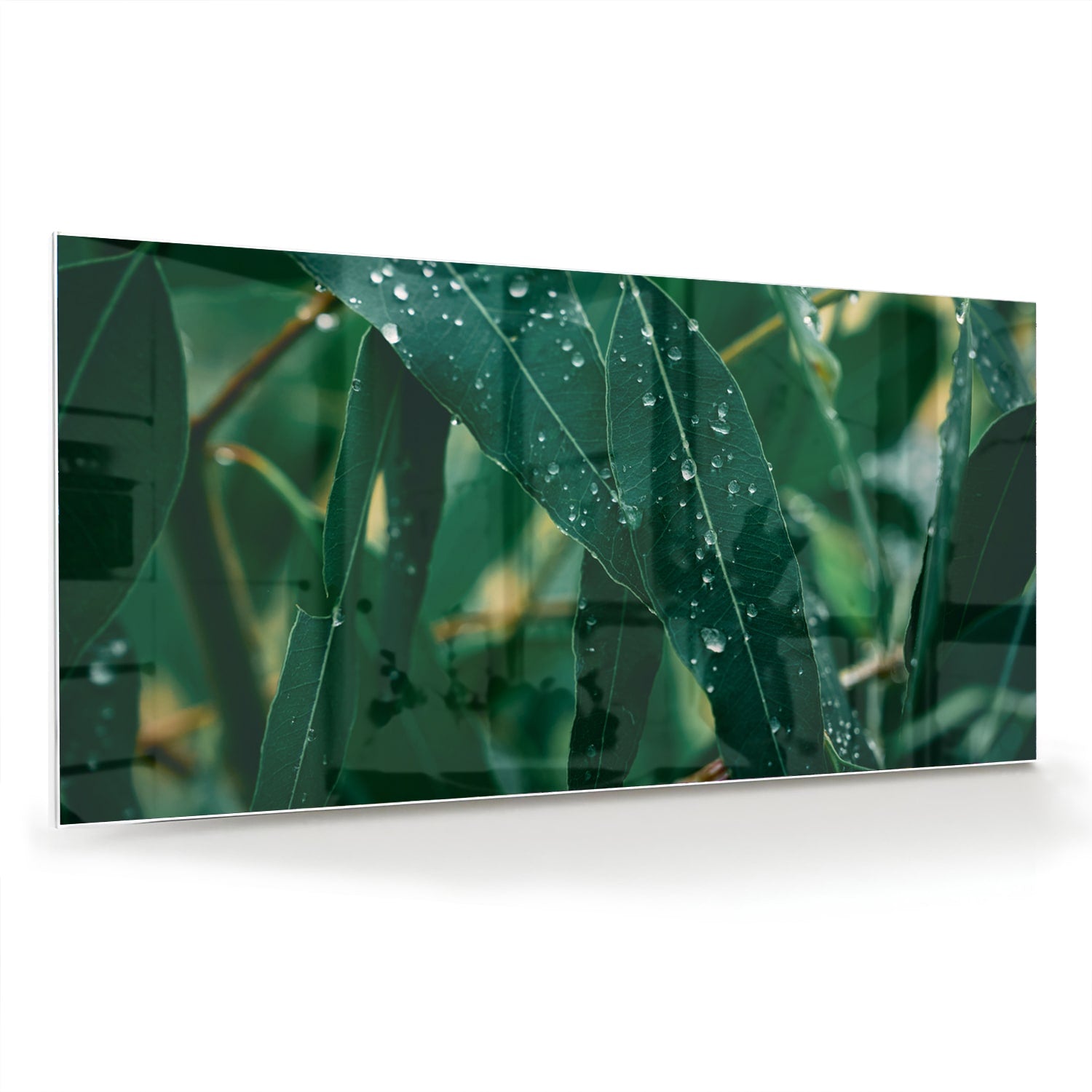 Glas schilderij van groene bladeren met dauwdruppels in een interieur