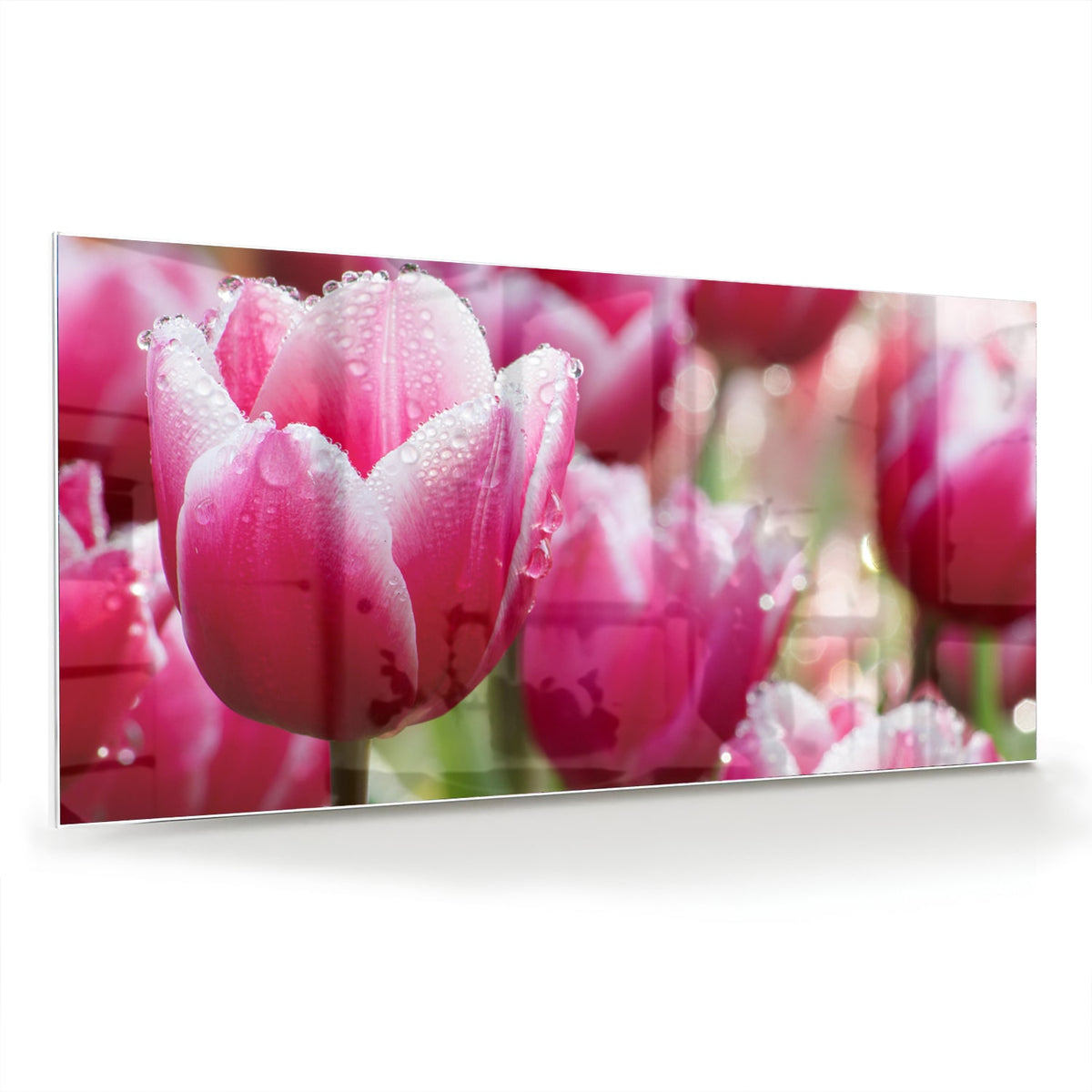 Glazen schilderij van roze tulpen met dauwdruppels, elegant en kleurig.