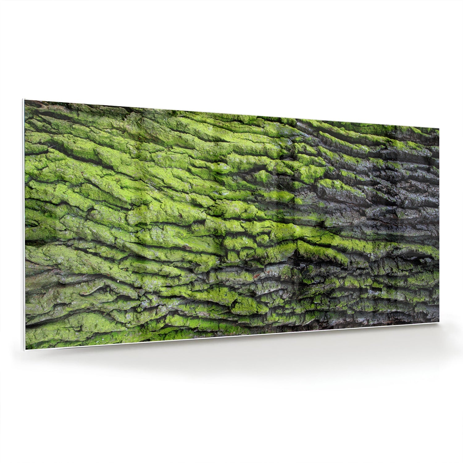 Glazen schilderij met groene mosachtige textuur aan een muur