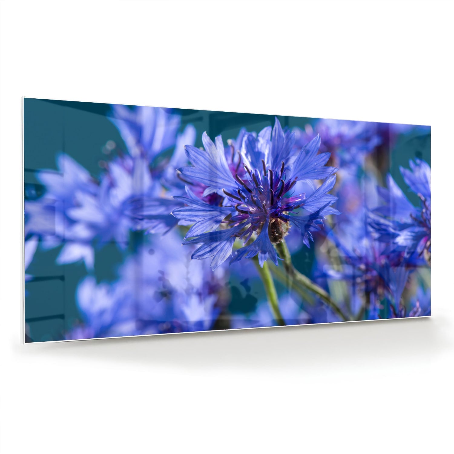 Een glazen schilderij met paarse bloemen op een witte muur, in een sfeervolle woonkamer.