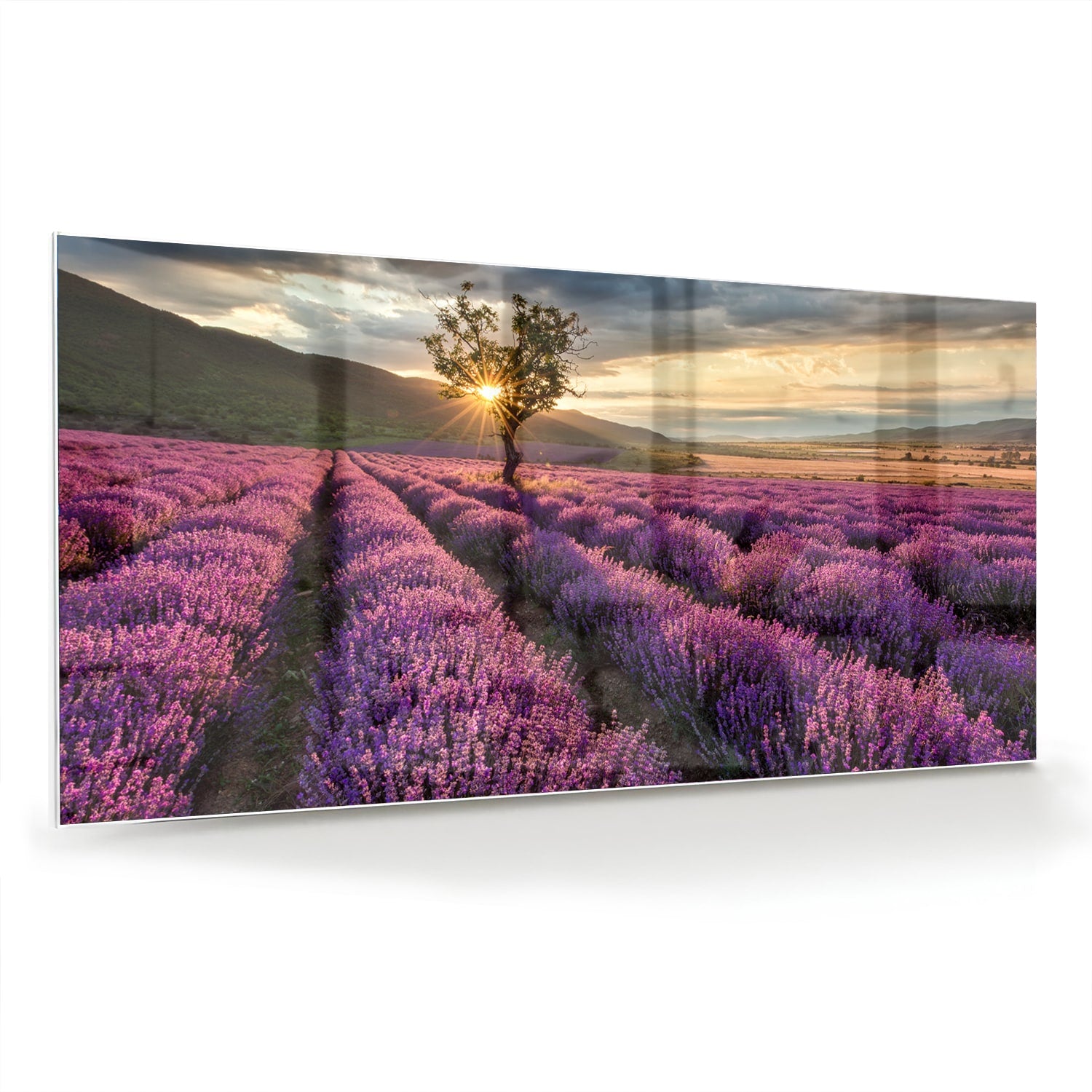 Glazen schilderij van paarse lavendelvelden tijdens de zonsondergang