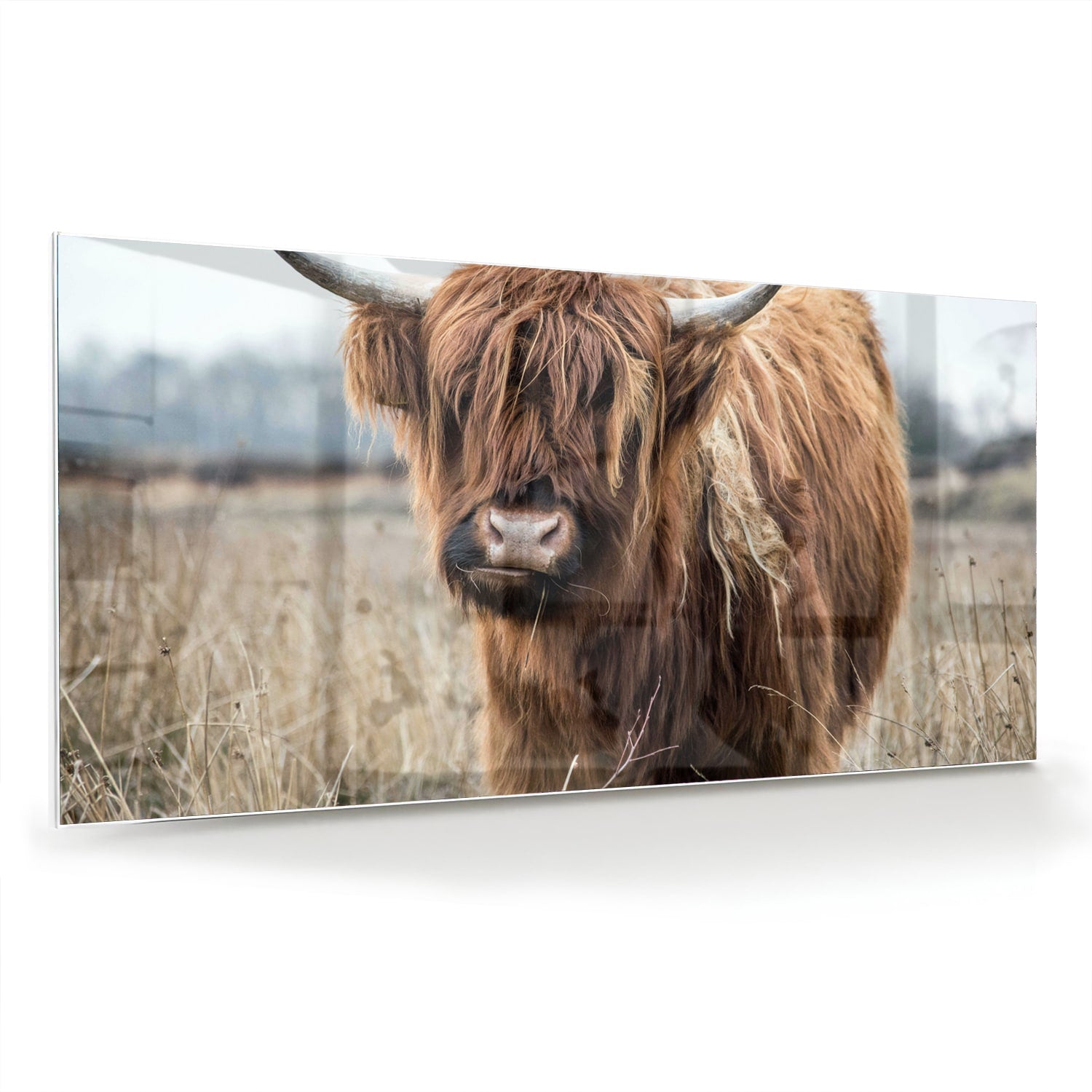 Glazen schilderij met een Houten Hooglander in een natuurlijke omgeving.