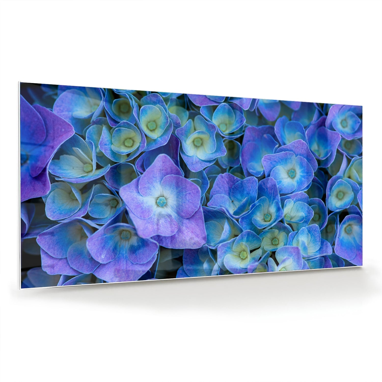 Glas schilderij met mooie blauwe bloemen aan de muur