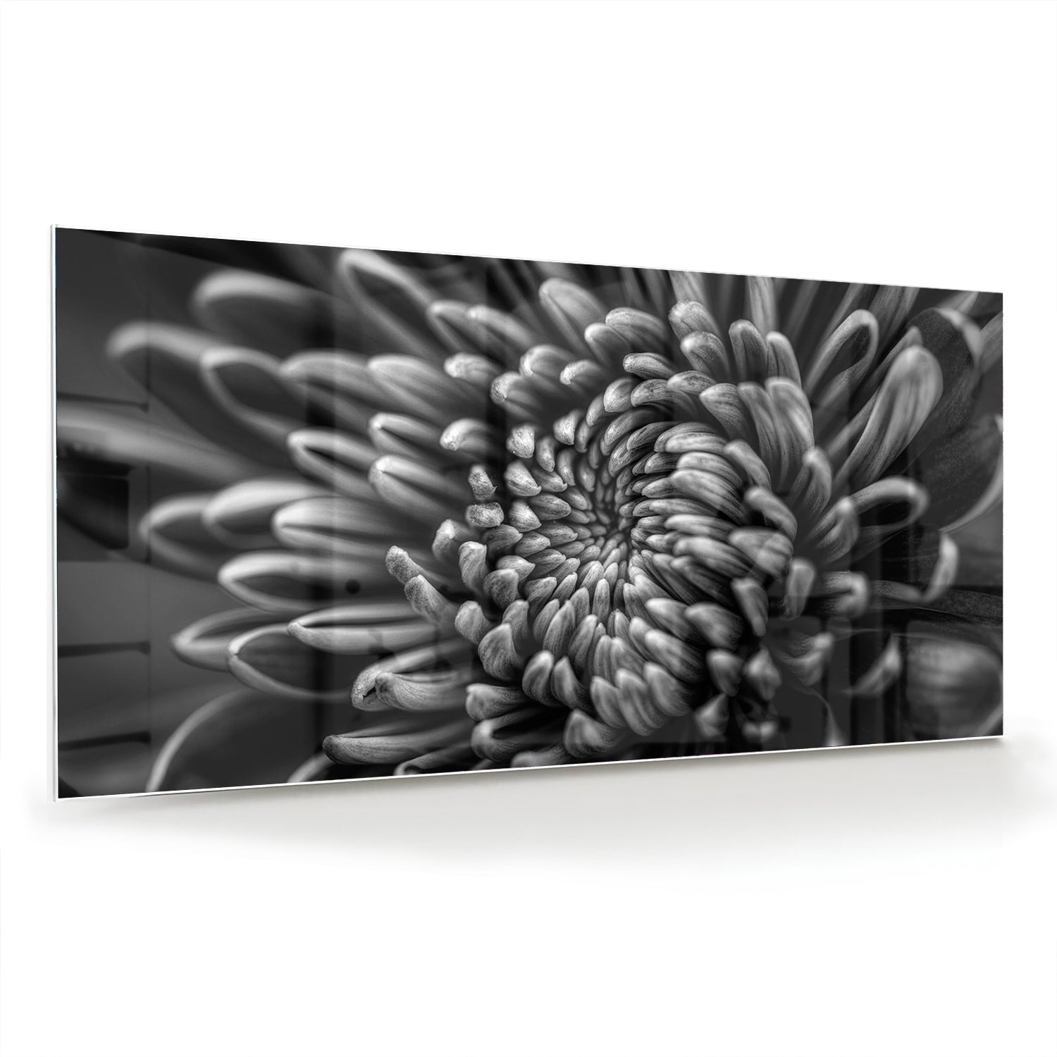 Zwart-wit glas schilderij van een kronkelige bloem aan de muur.