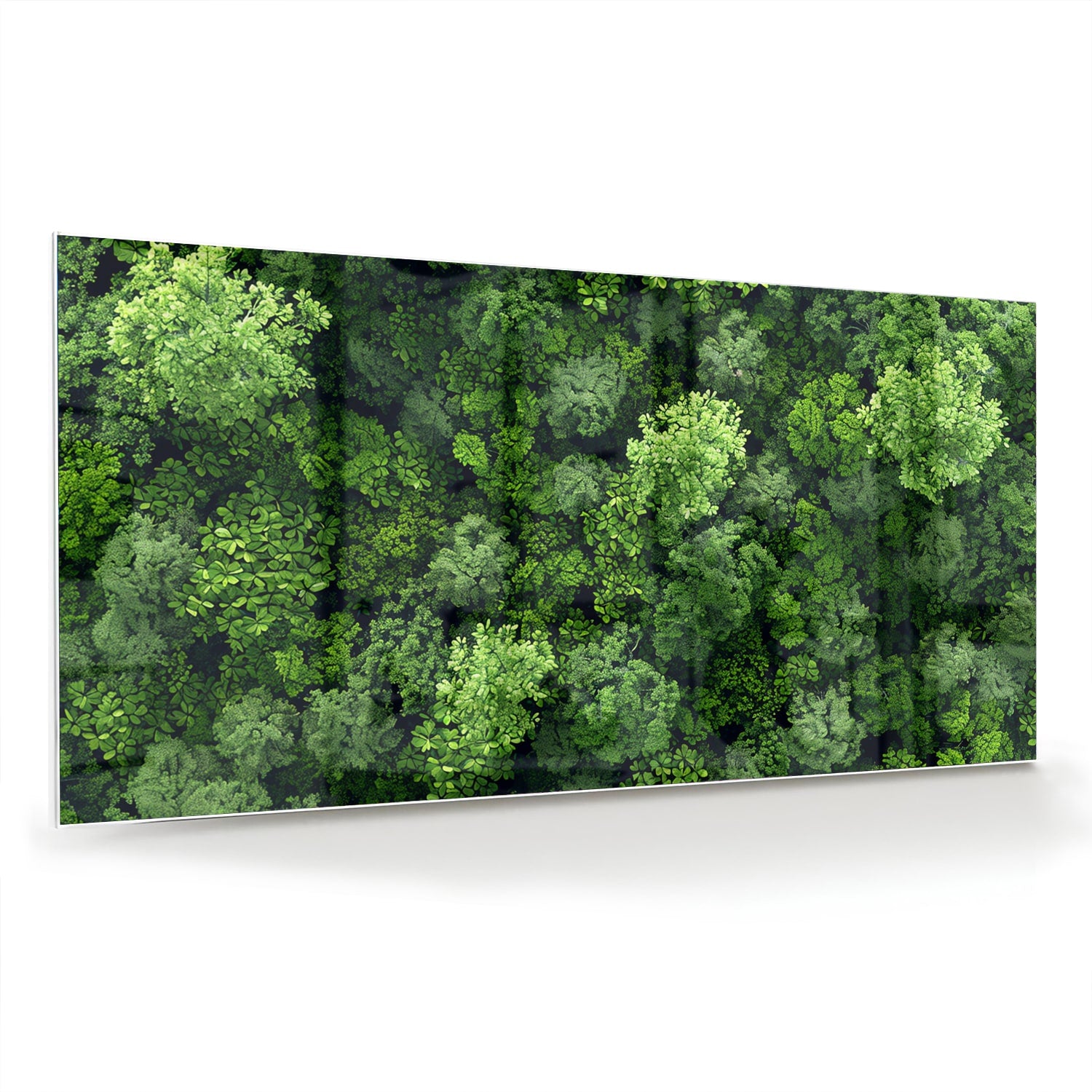 Luchtfoto van een weelderig groen bos op een muur in een moderne kamer.