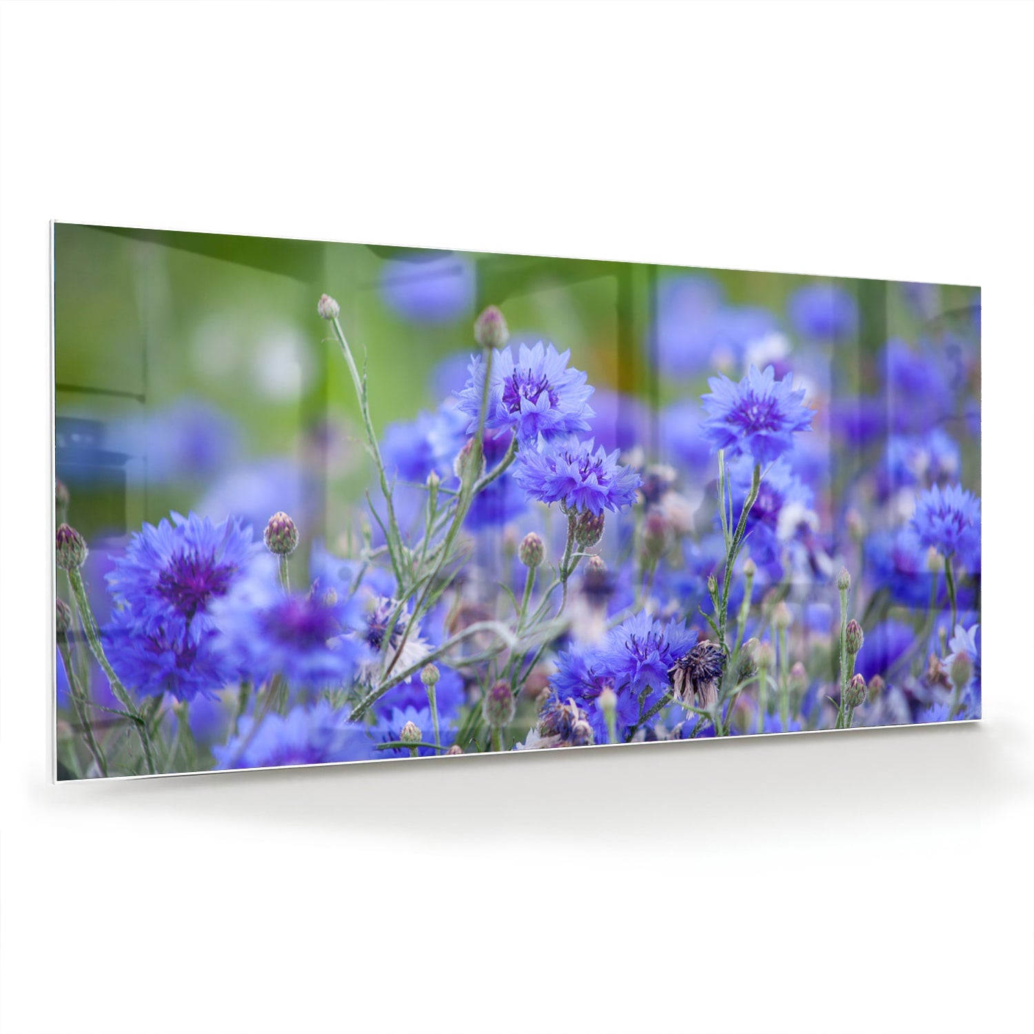Glazen schilderij met paarse bloemen aan de muur in een lichte woonkamer.