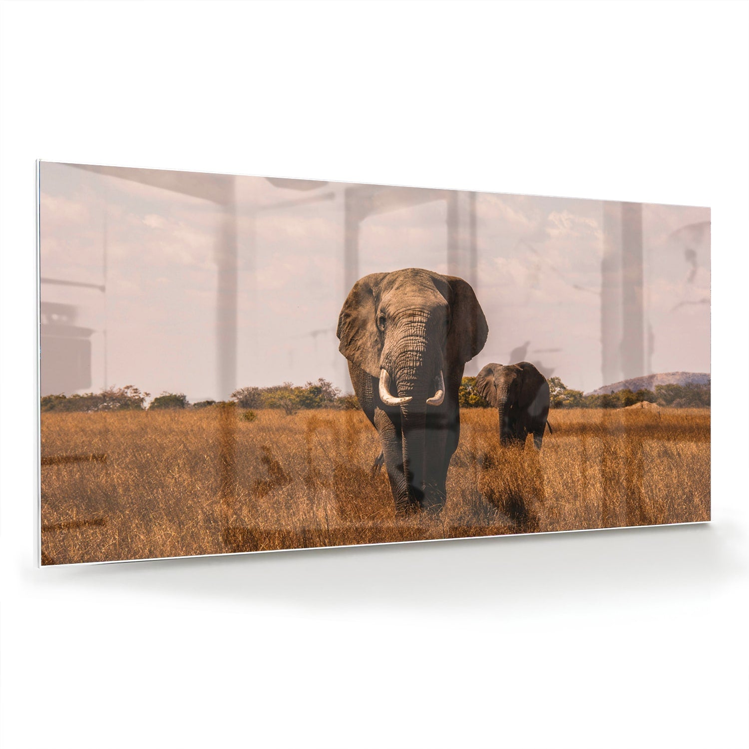 Glazen schilderij van twee olifanten in een gouden graslandschap