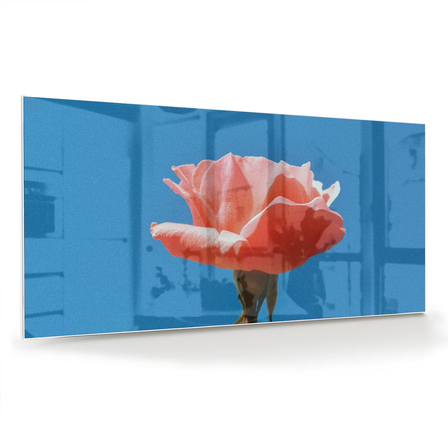 Glas schilderij van een roze roos op een blauwe achtergrond, geschikt voor wanddecoratie.