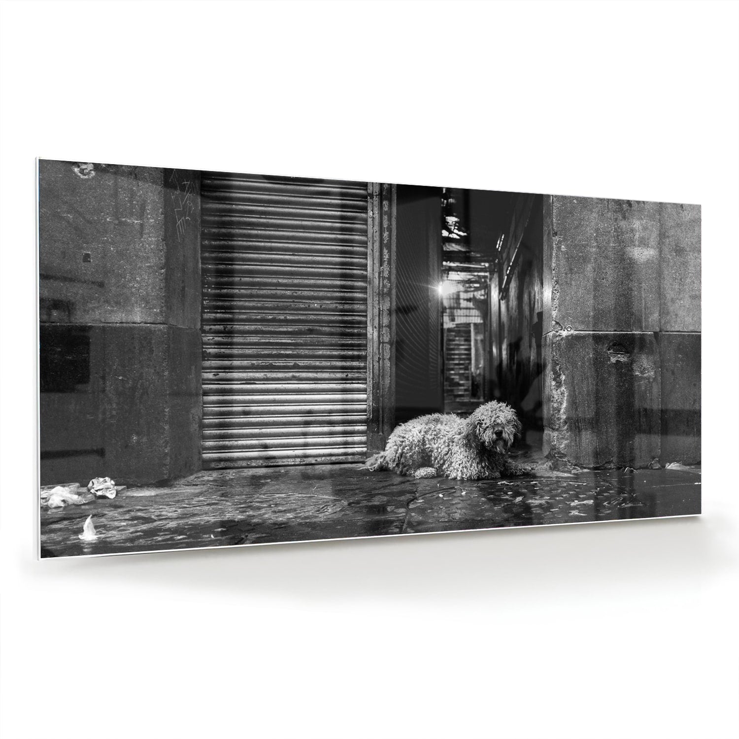 Zwart-wit glazen schilderij van een hond in een regenachtige straat