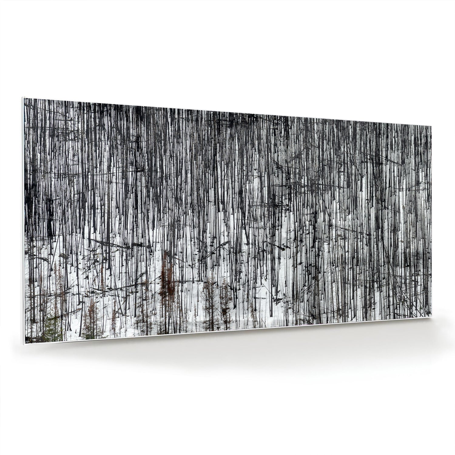 Minimalistisch glazen schilderij met een boslandschap, perfect voor moderne interieurs.