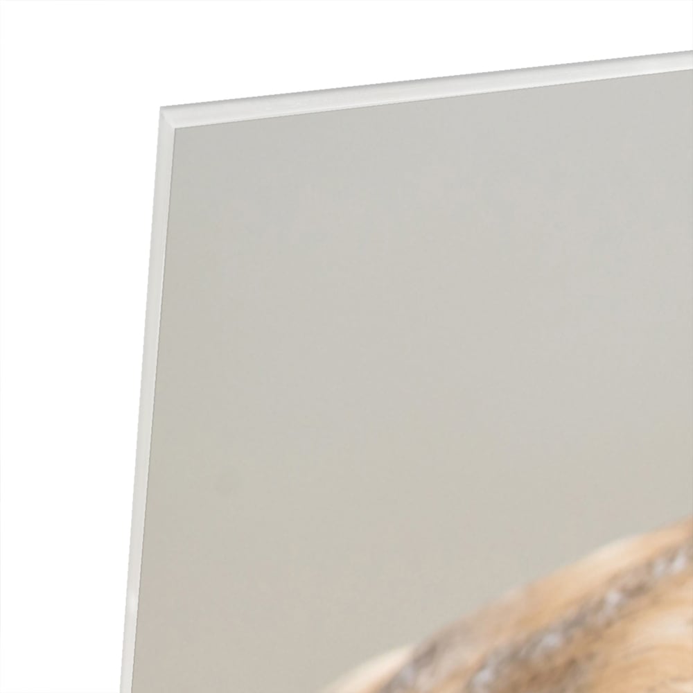 Glazen schilderij van een nieuwsgierige uil aan de muur in een moderne interieursetting.