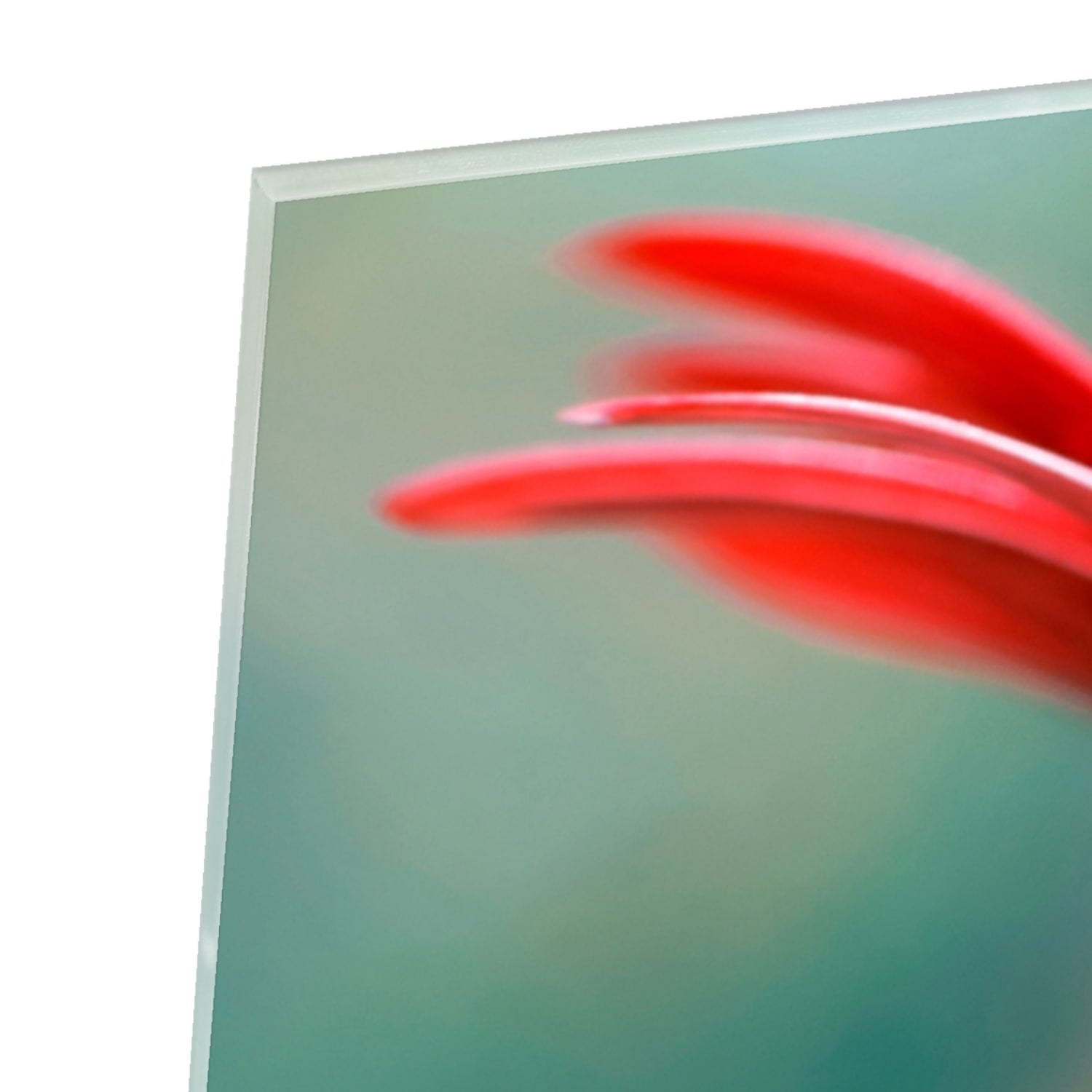 Een kleurrijk glazen schilderij van een rode bloem met een lieveheersbeestje.