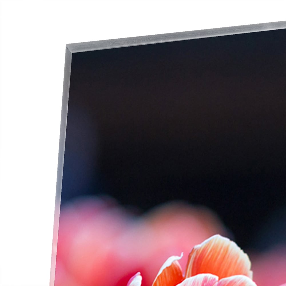 Glazen schilderij met rode tulpen op een witte muur