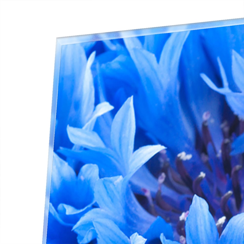 Glazen schilderij met een prachtig blauw bloemenmotief aan de muur