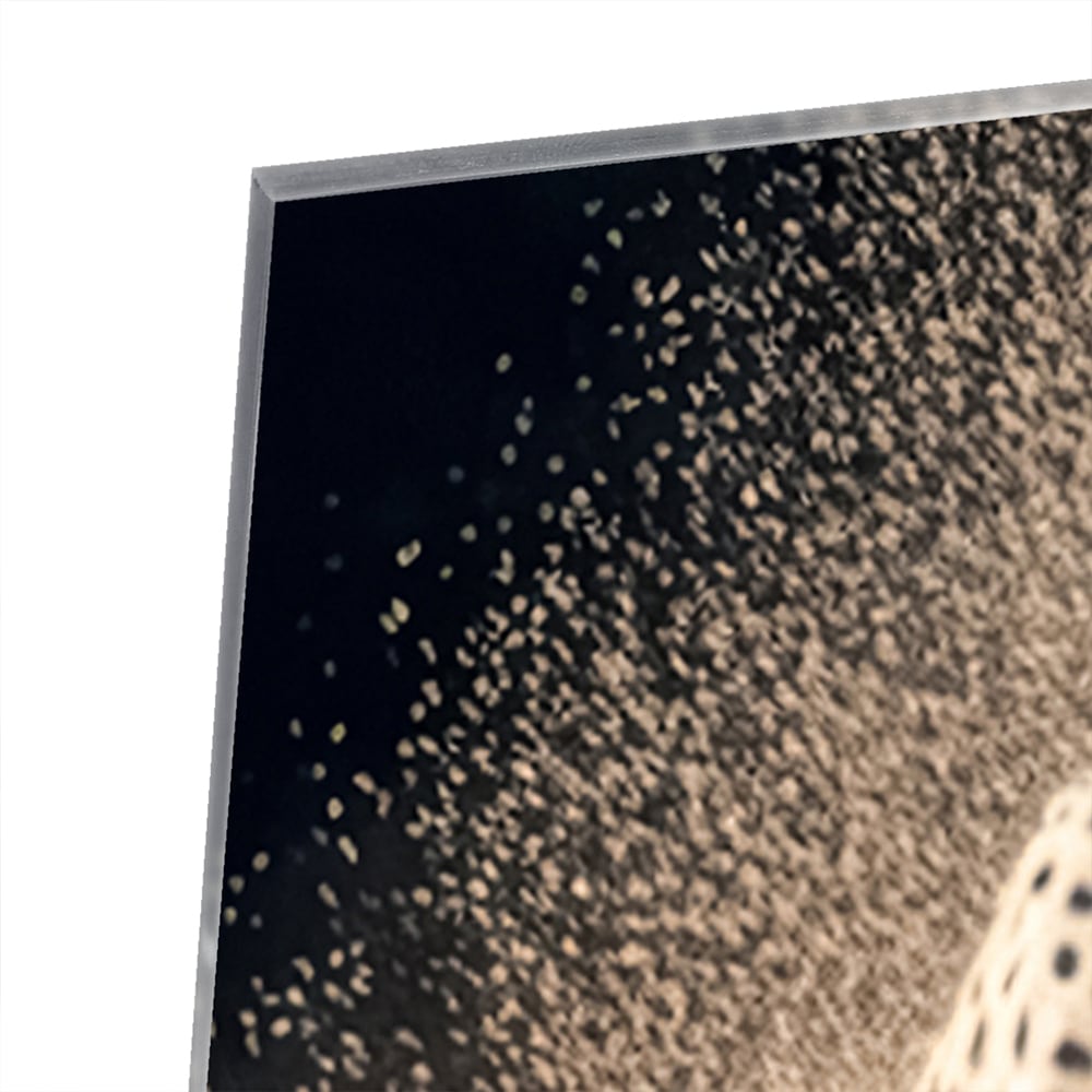 Glazen schilderij van een jachtluipaard die door zand rent in een moderne woonkamer.