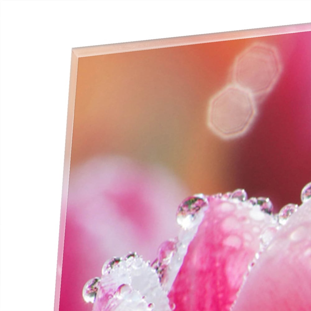 Glazen schilderij van roze tulpen met dauwdruppels, elegant en kleurig.