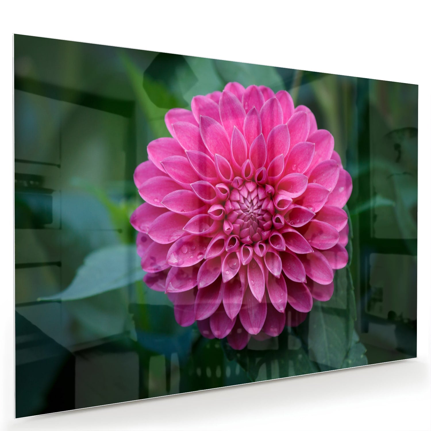 Glazen schilderij met een grote roze bloem, perfect voor wanddecoratie.