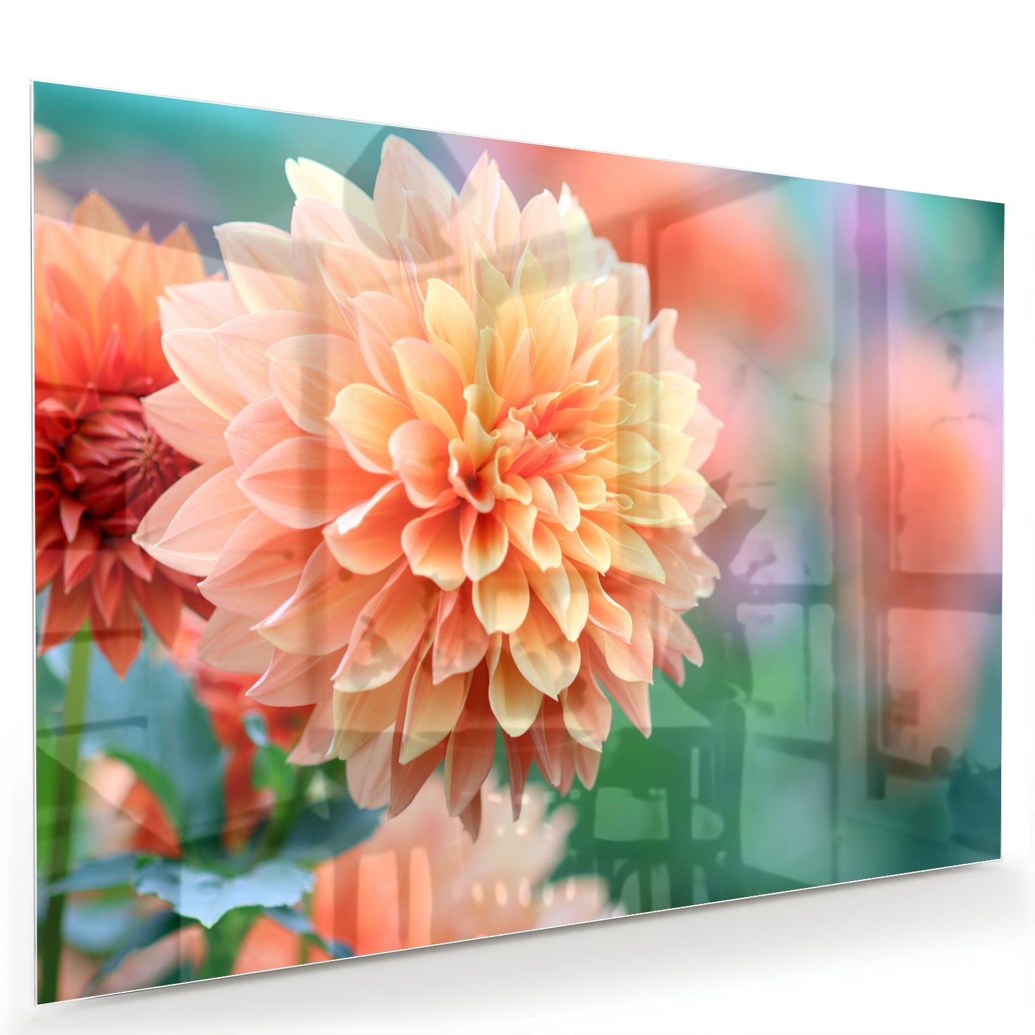 Glazen schilderij met een pastelroze dahlia in een modern interieur