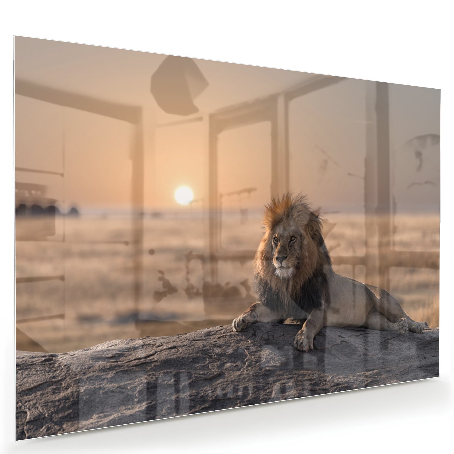 Glazen schilderij van een leeuw die op een rots ligt met zonsondergang op de achtergrond.