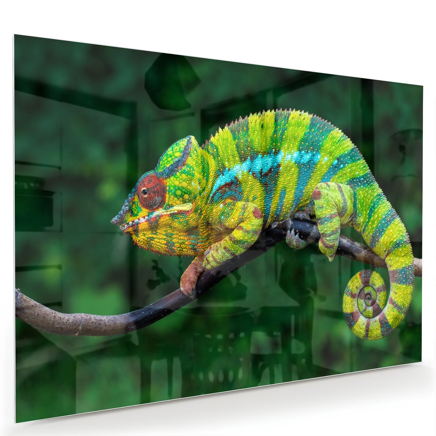 Glas schilderij van een kleurrijke kameleon op een tak met groene achtergrond.