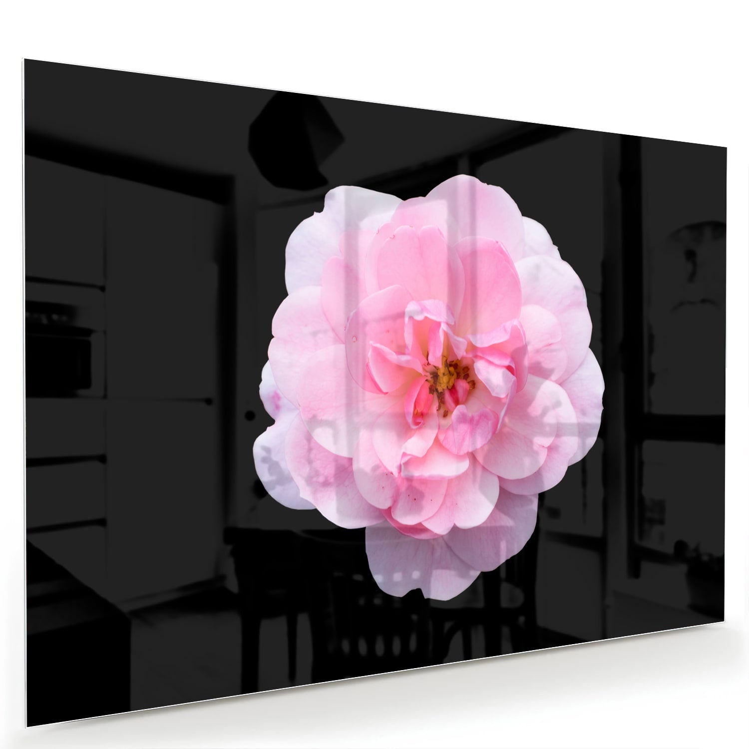 Glazen schilderij van een roze bloem op zwart glas, geschikt voor moderne interieurs.