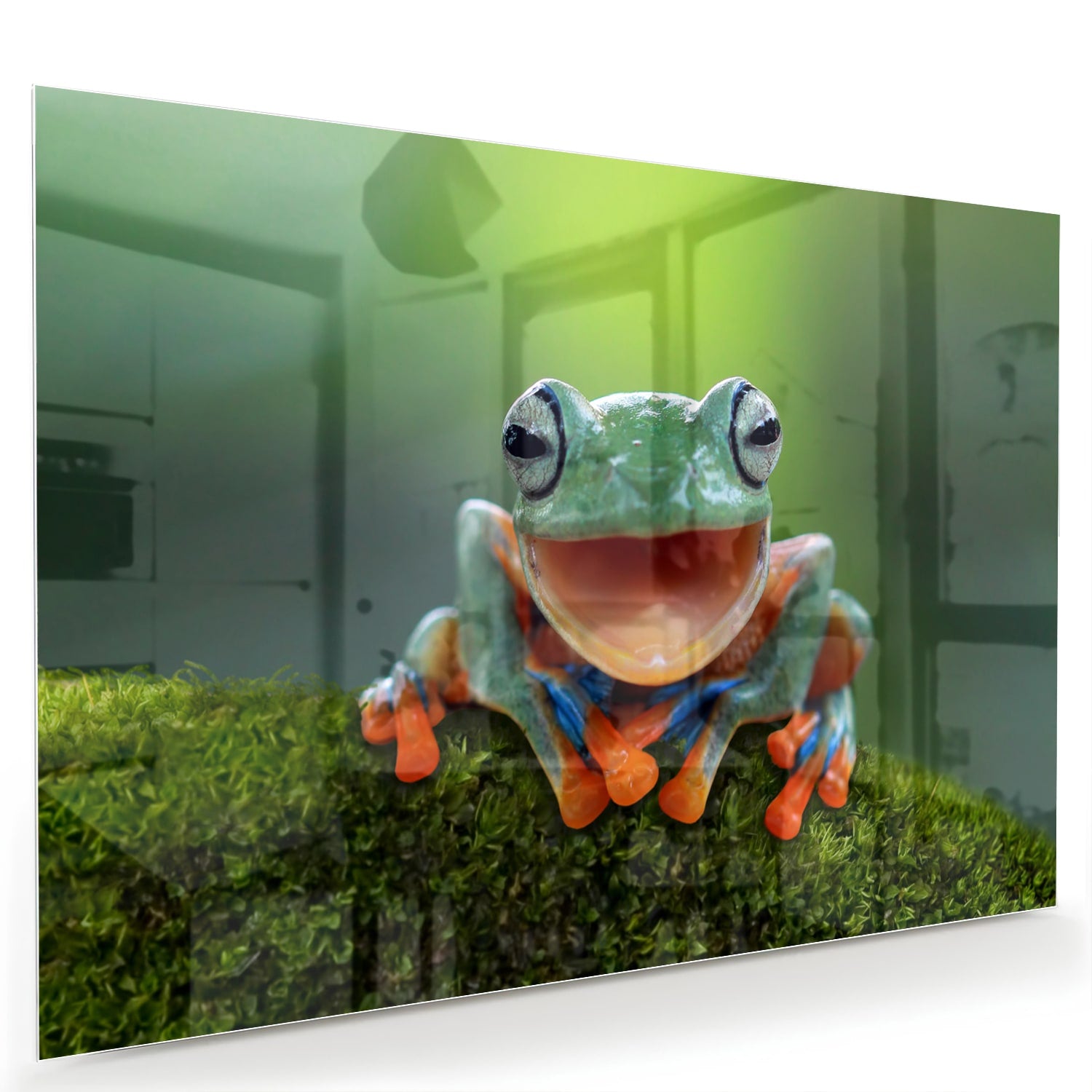 Glazen schilderij van een vrolijke boomkikker op een groene achtergrond