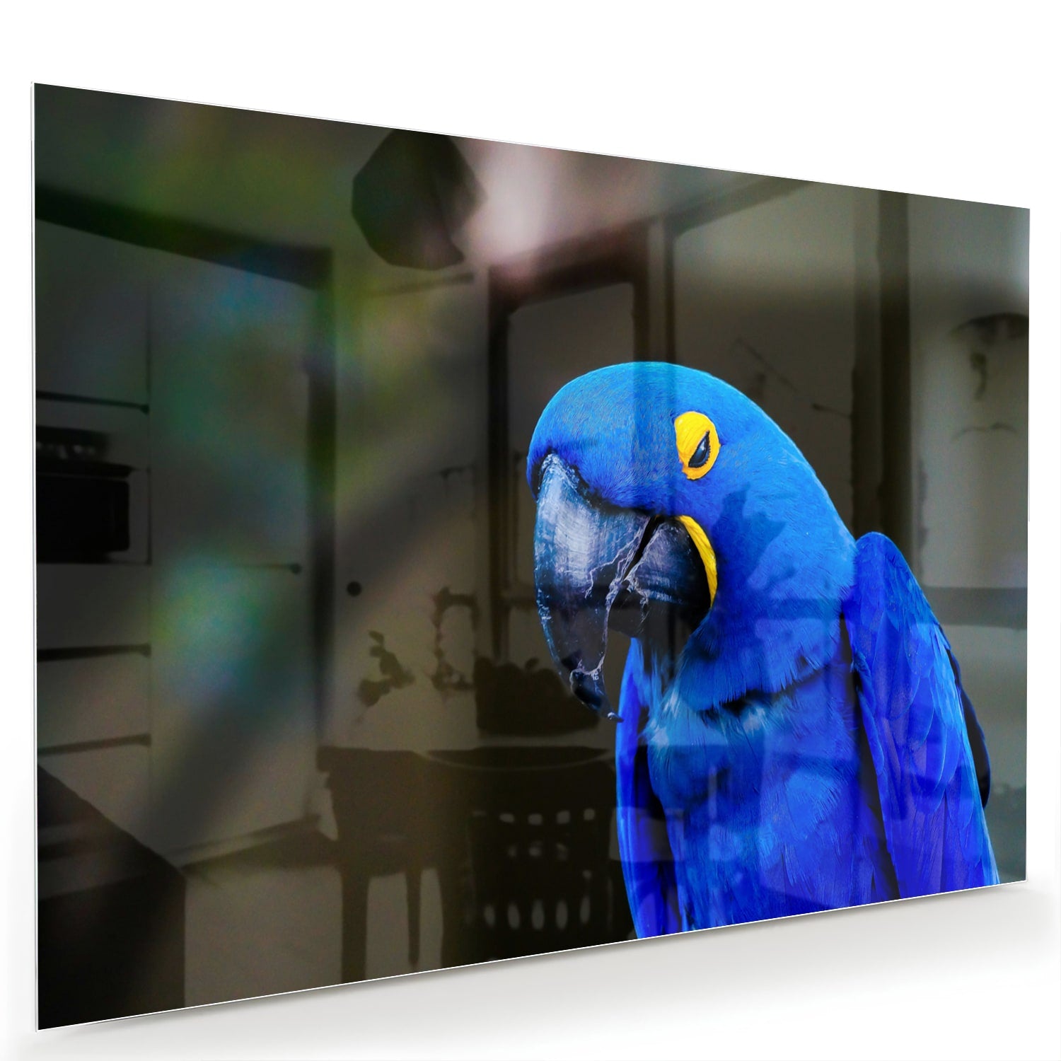 Glazen schilderij van een blauwe ara, ideaal voor wanddecoratie.