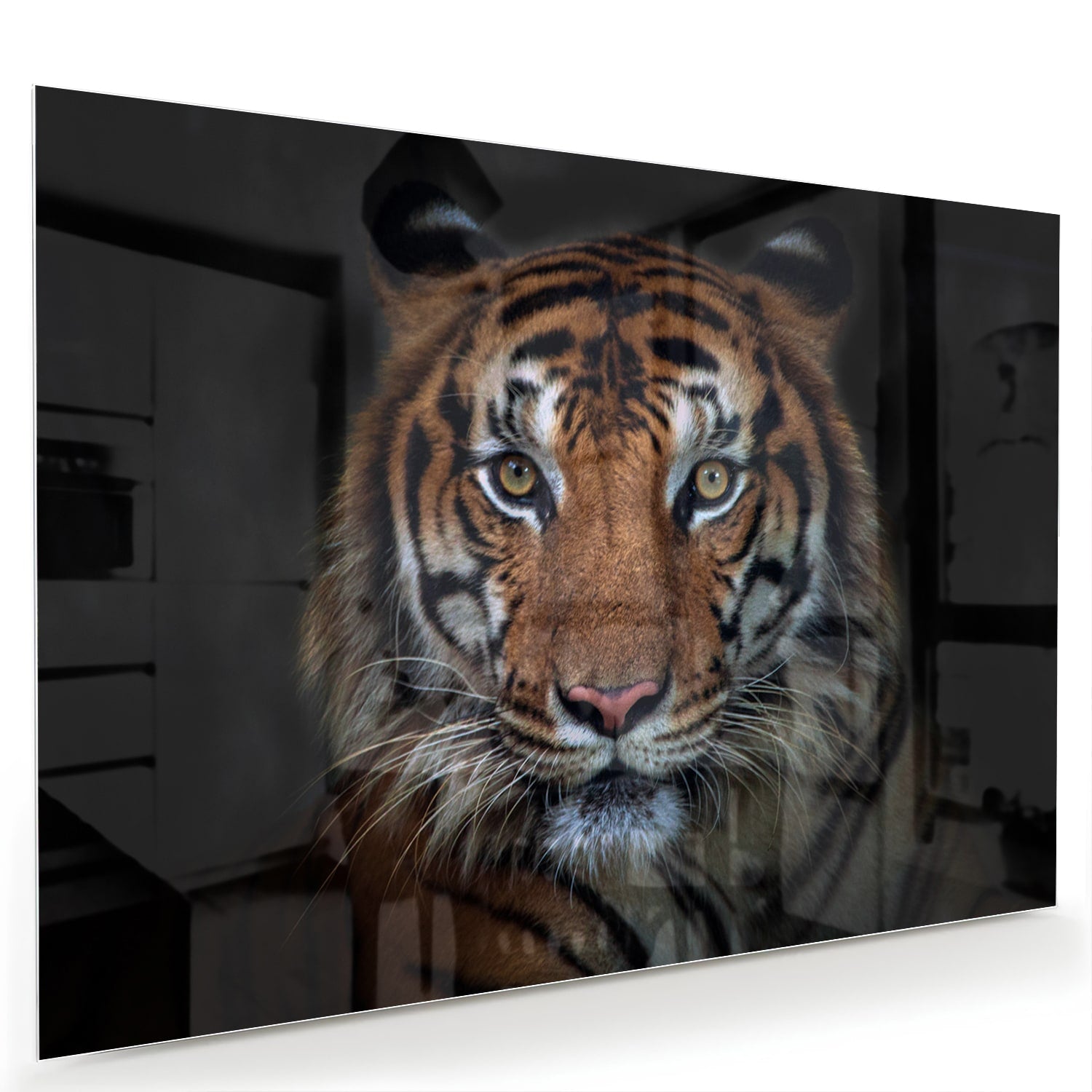 Glazen schilderij van een tijger, mooi weergegeven in een moderne woonkamer.