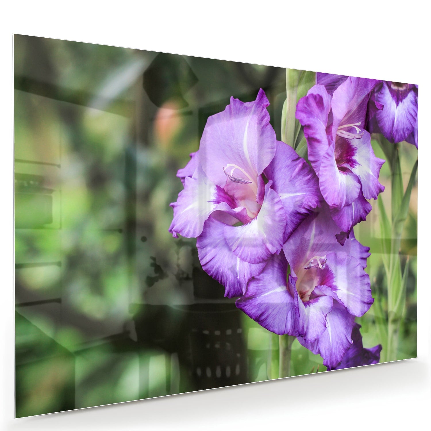 Glazen schilderij van paarse gladiolen aan de muur in een moderne woonkamer.