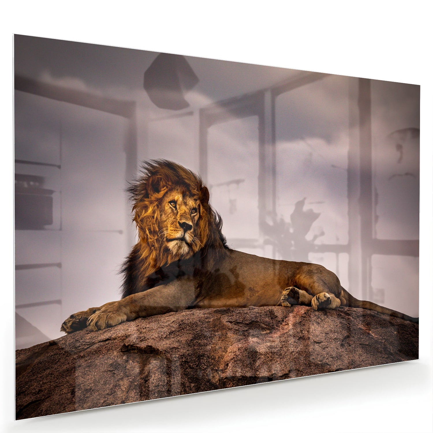 Glazenschilderij van een majestueuze leeuw op een rots, perfect voor interieurdecoratie.