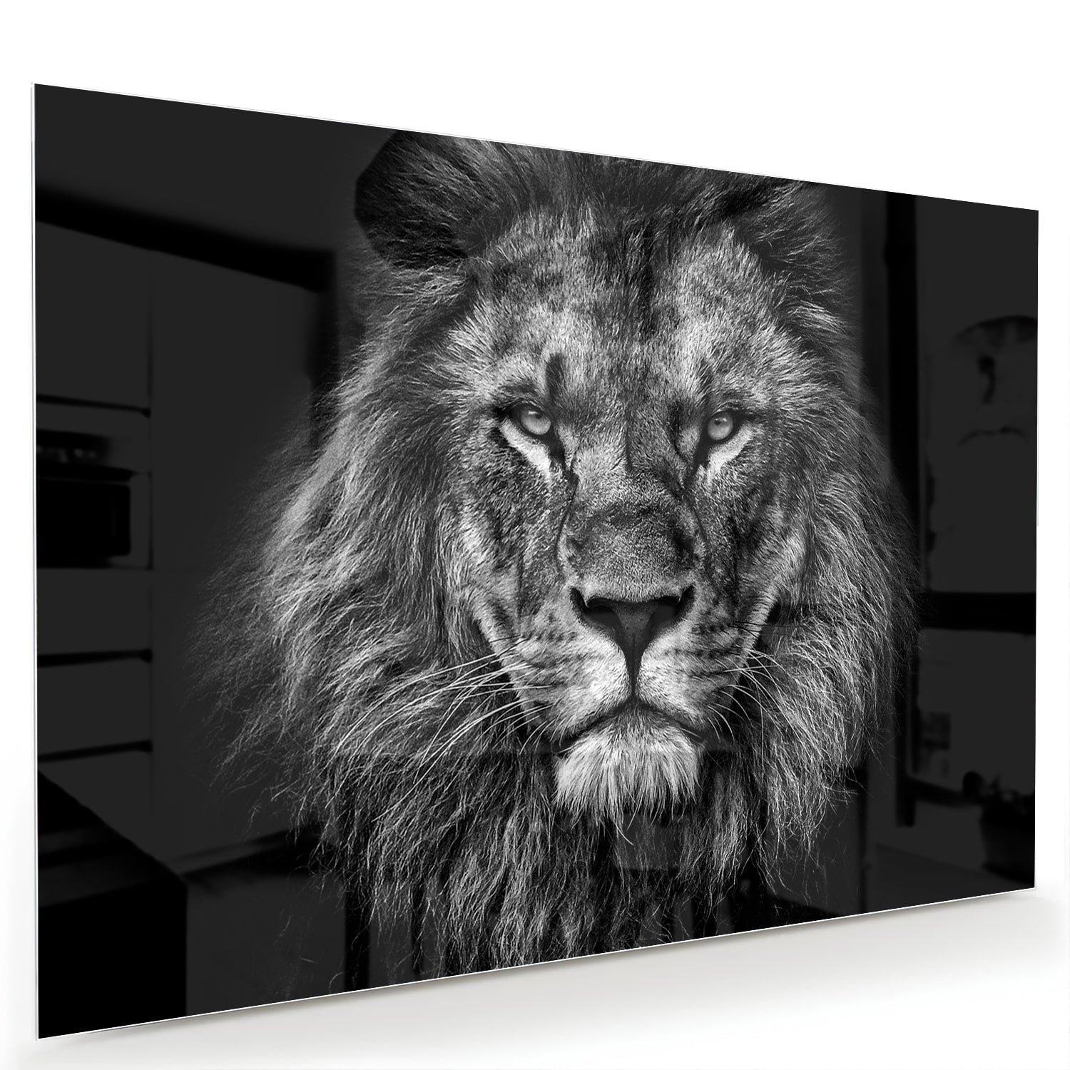 Glazen schilderij van een leeuw in zwart-wit, perfect voor wanddecoratie.