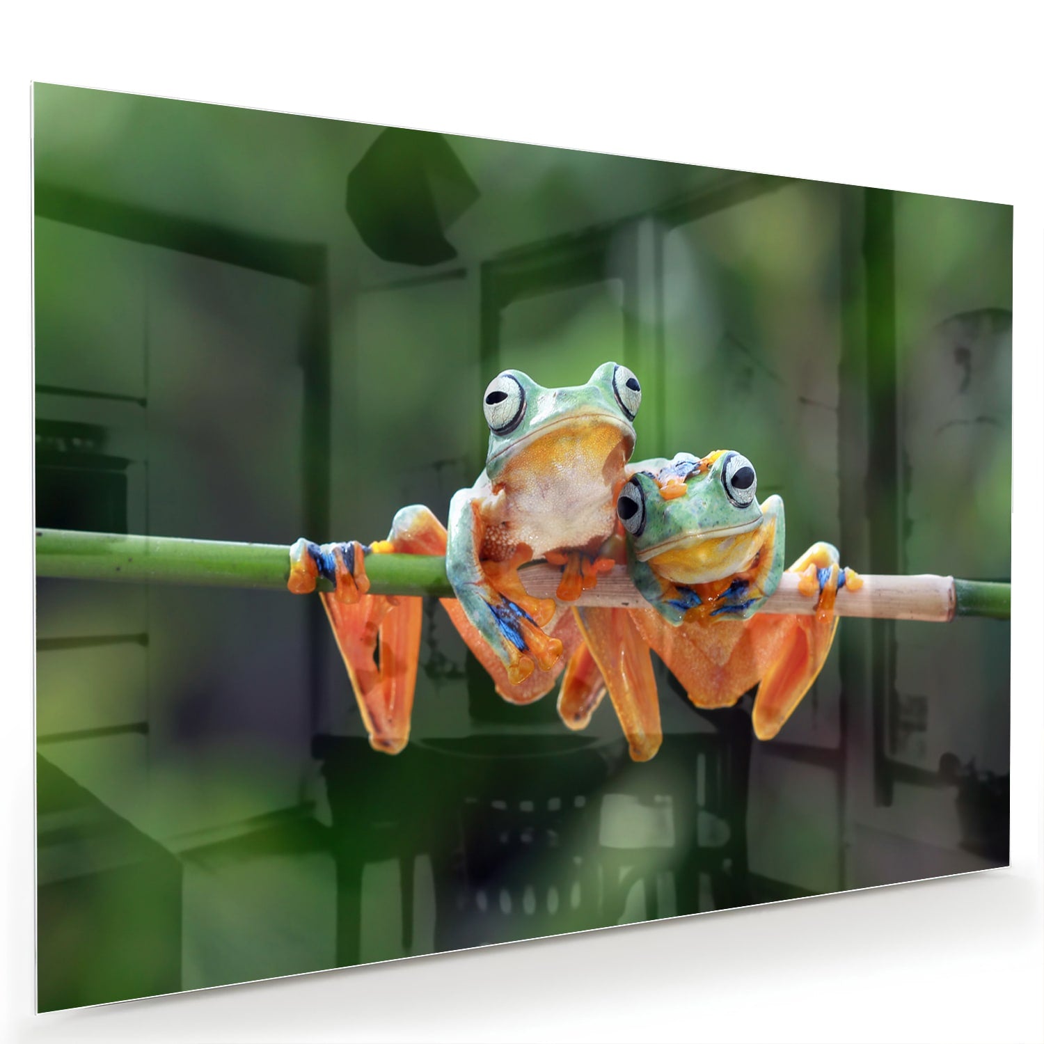 Glazen schilderij van een vrolijke kikker die op een tak zit.