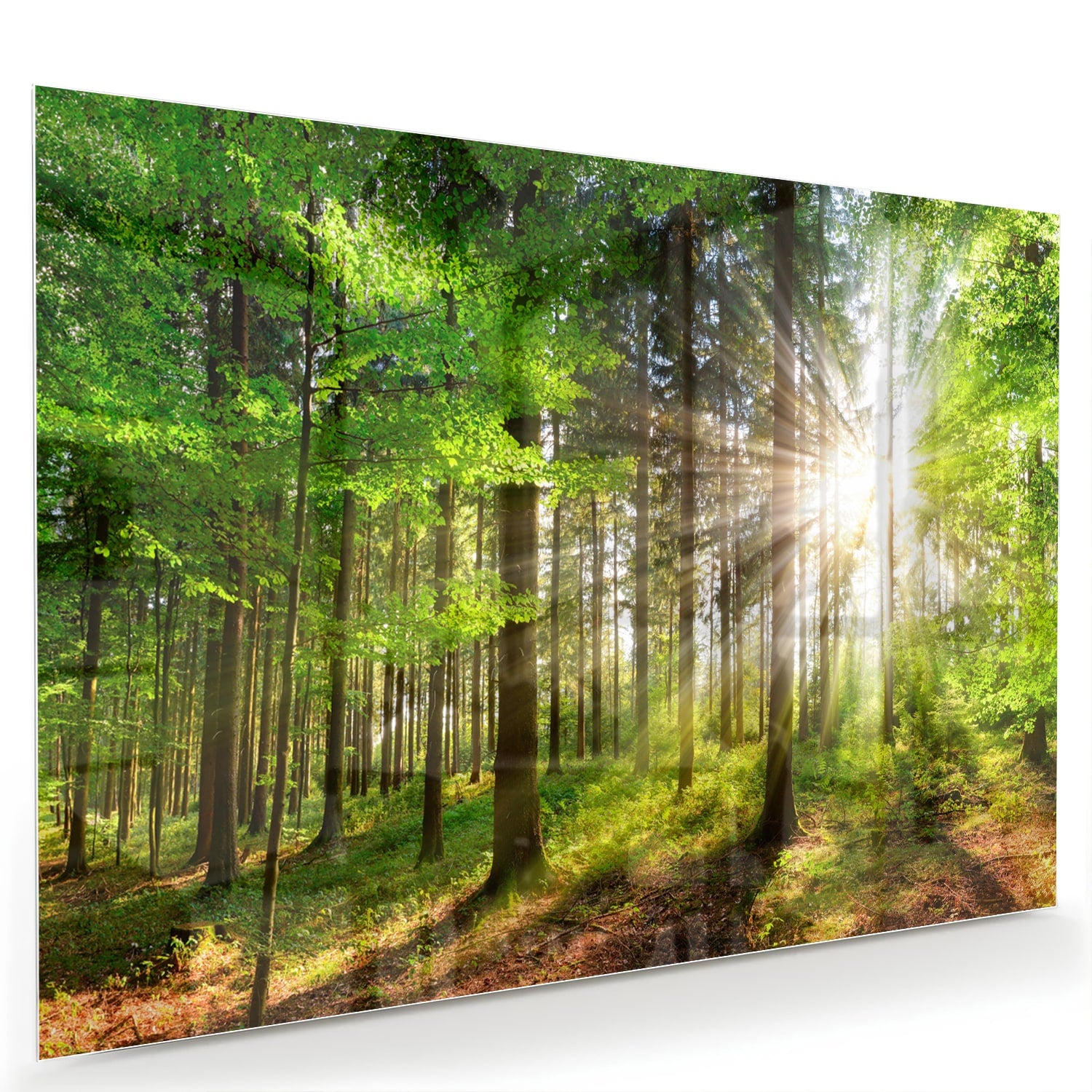 Glazen schilderij van een bos met zonnestralen op een muur.