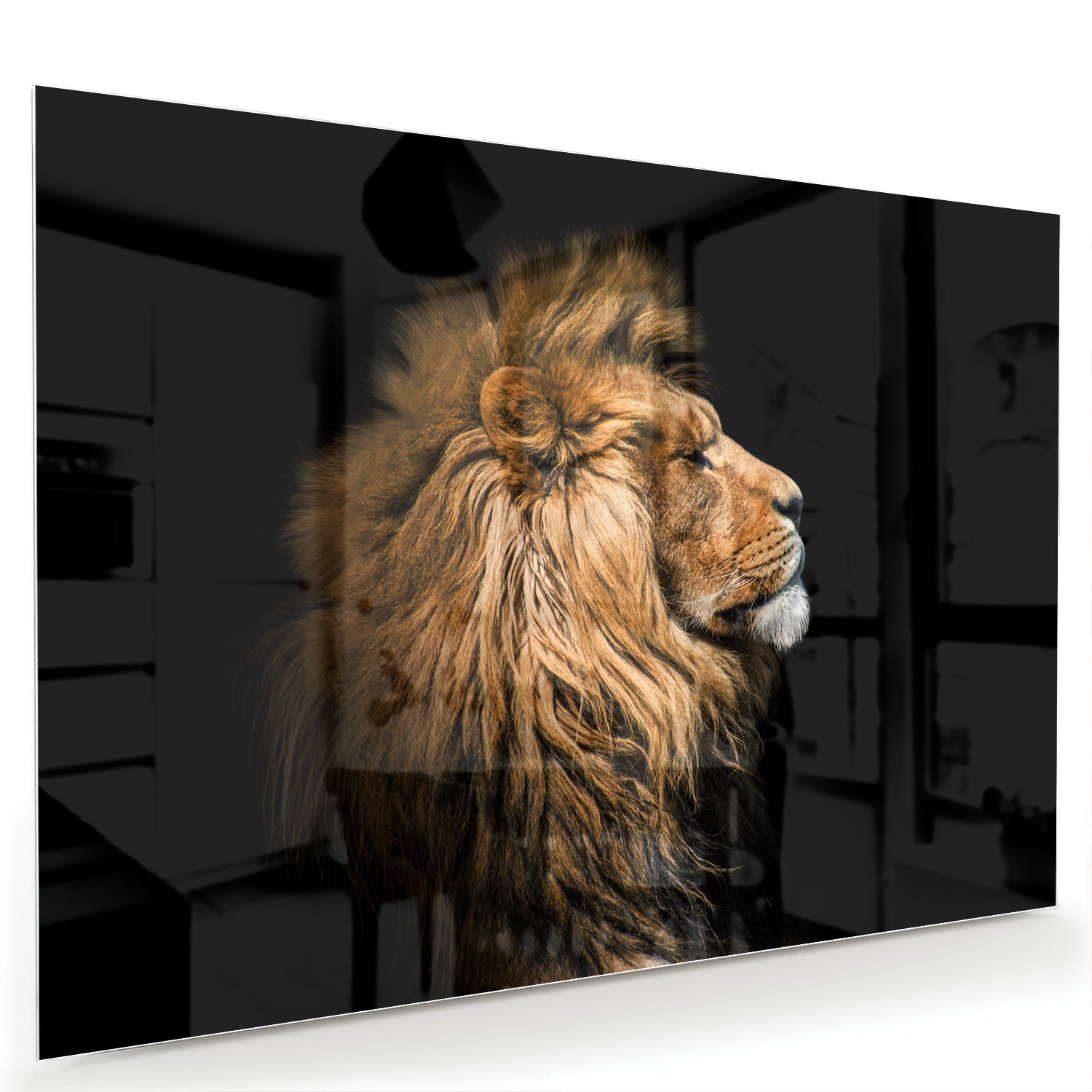 Glazen schilderij van een leeuw met rijke, gouden manen tegen een zwarte achtergrond.