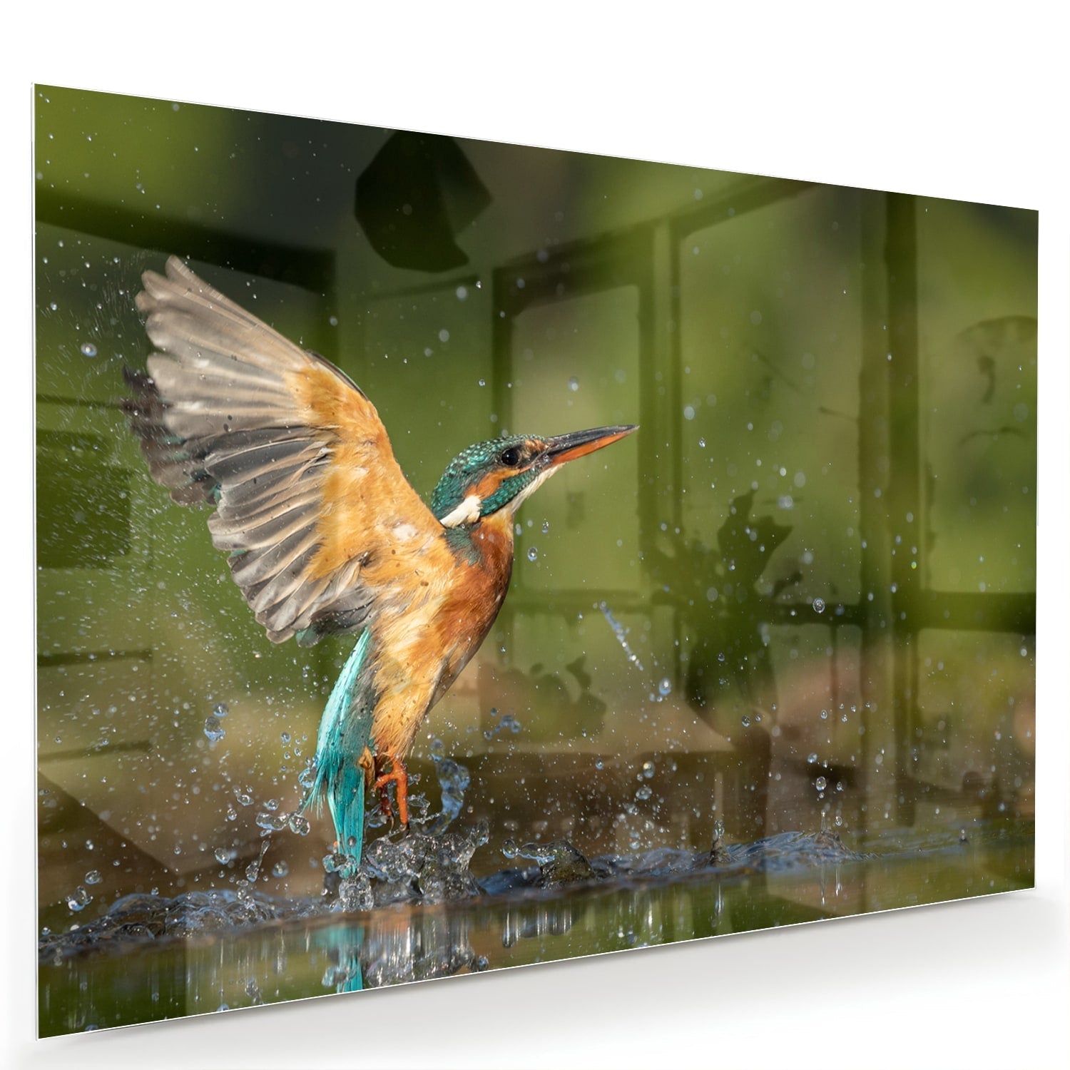 Glazen schilderij van een ijsvogel die in het water duikt