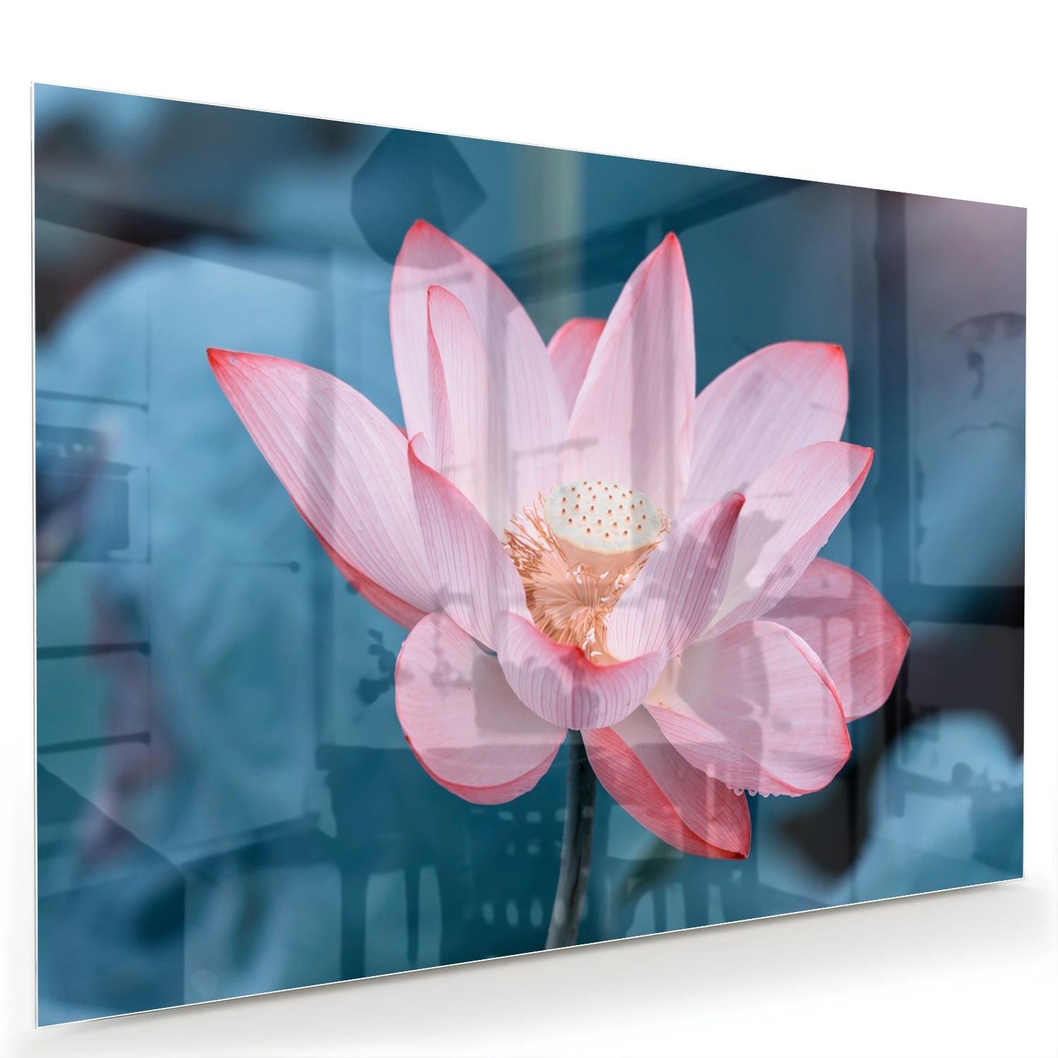 Glazen schilderij van een roze lotus boven een houten meubelstuk in een gezellige woonkamer.
