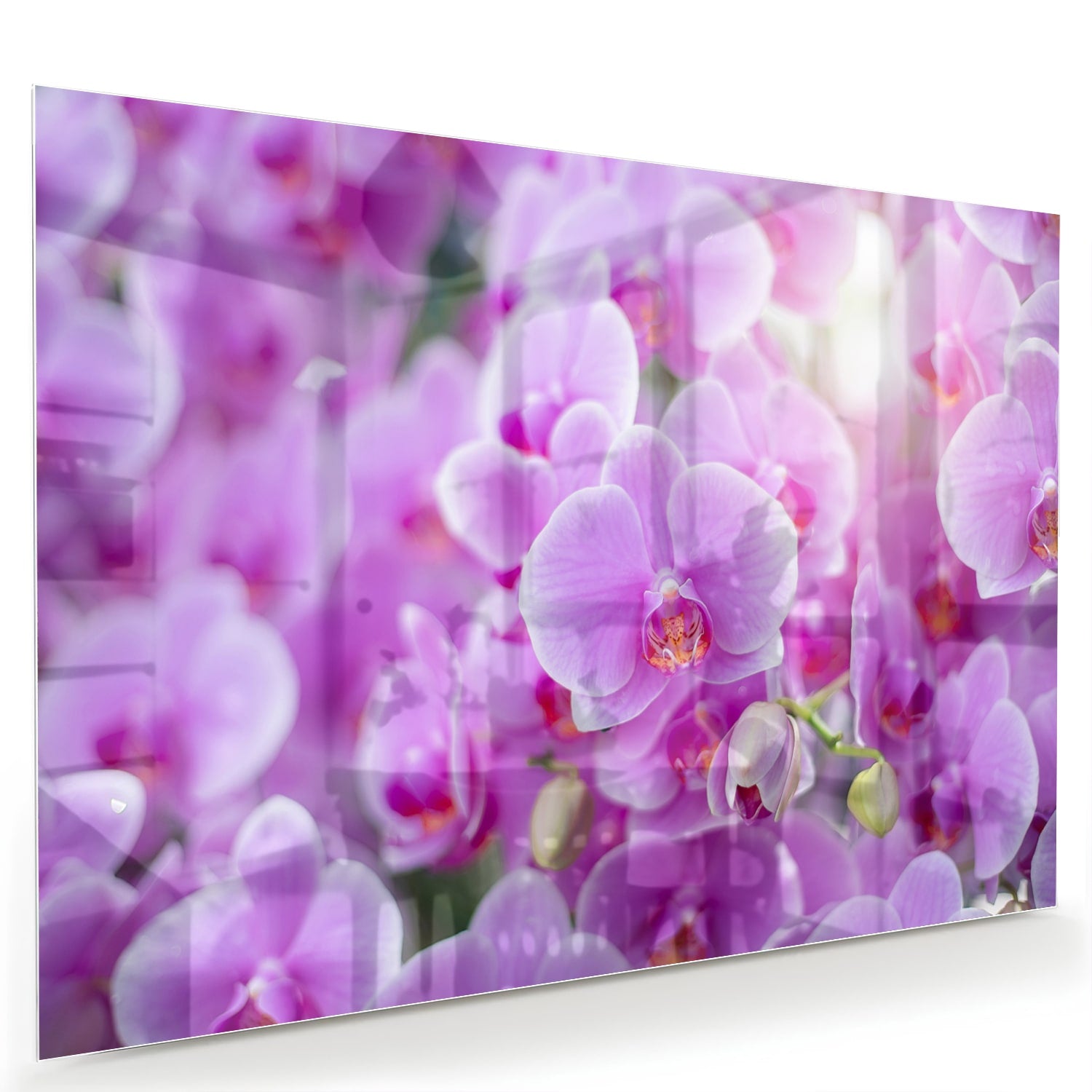 Glazen schilderij met een close-up van paarse orchideen in een mooi interieur