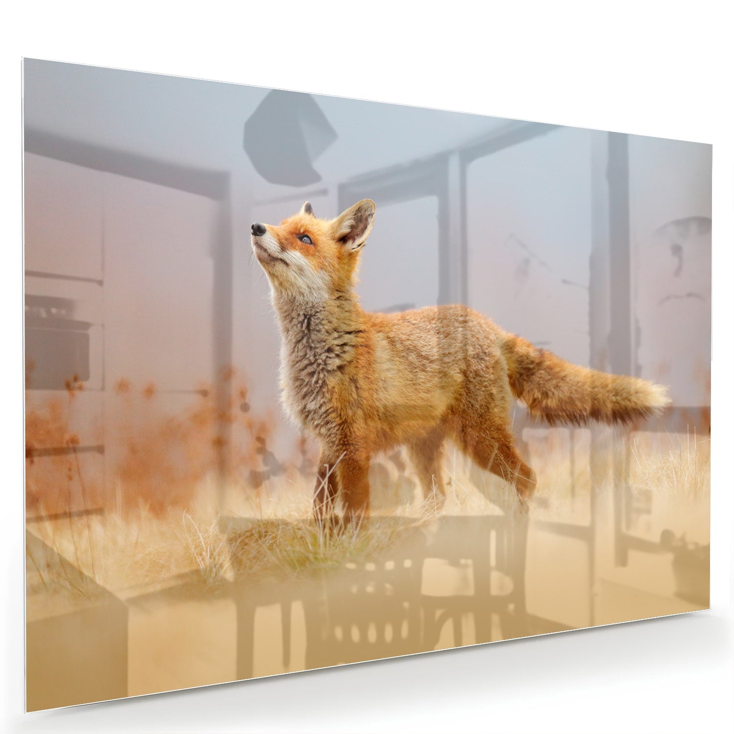 Glazen schilderij van een vos die in de natuur staat, perfect voor moderne interieurs.